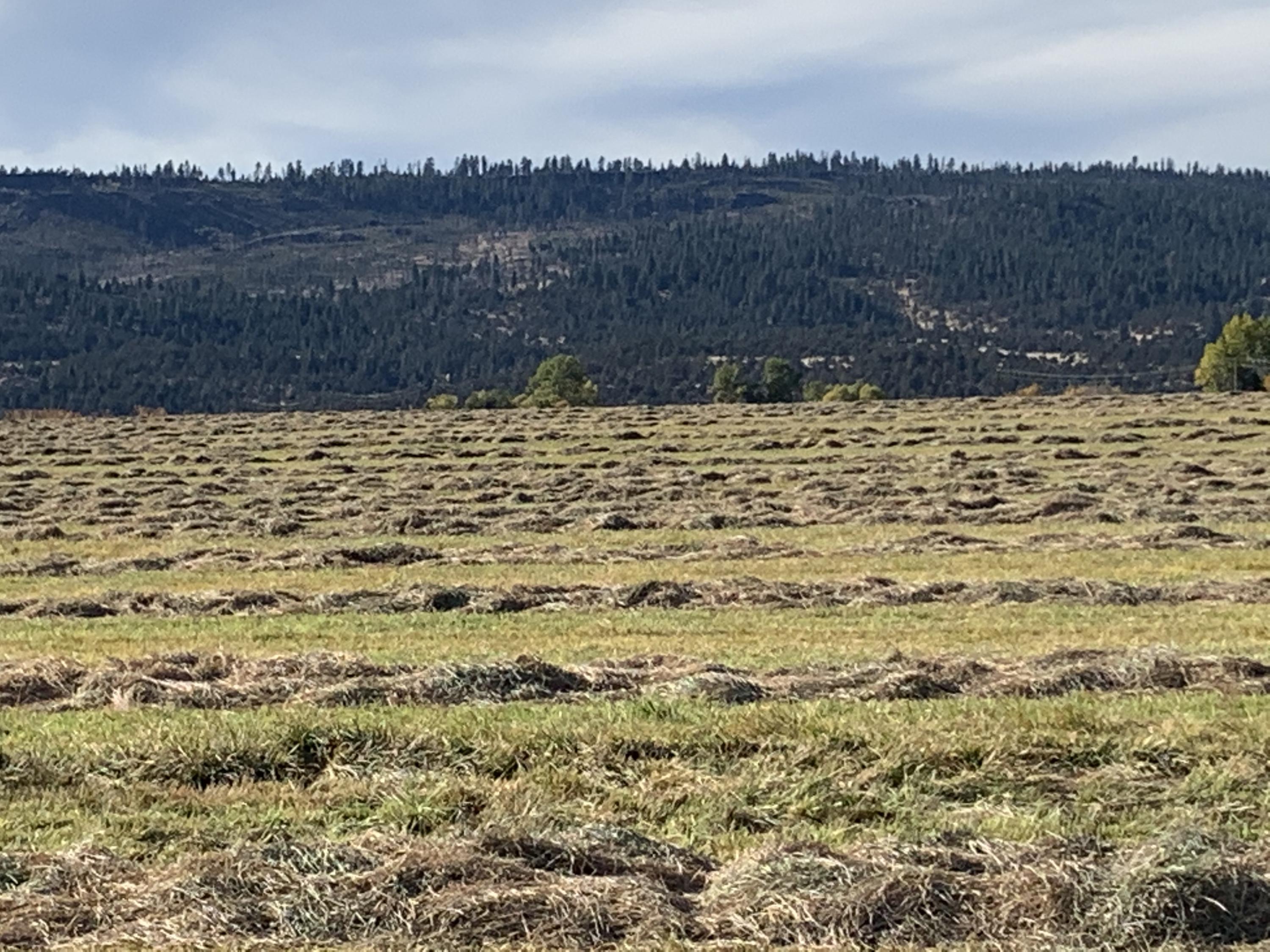 Lake County - Farm