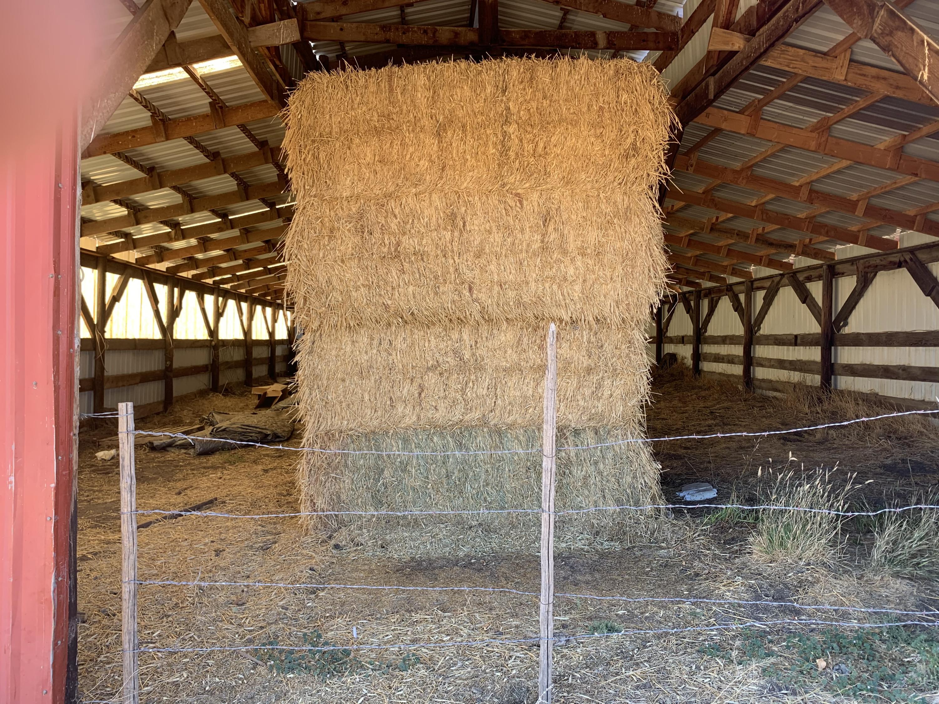 Lake County - Farm