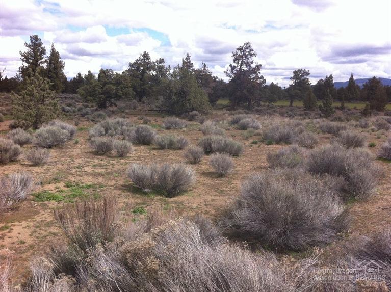 Nice .49 lot in the golf community of Pronghorn Estates