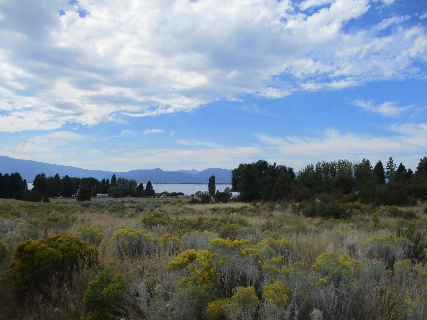 Monte Vista Ranch - Land