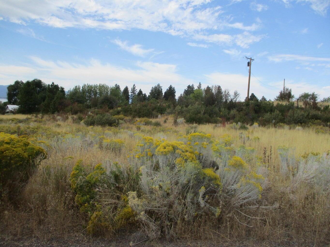 Monte Vista Ranch - Land