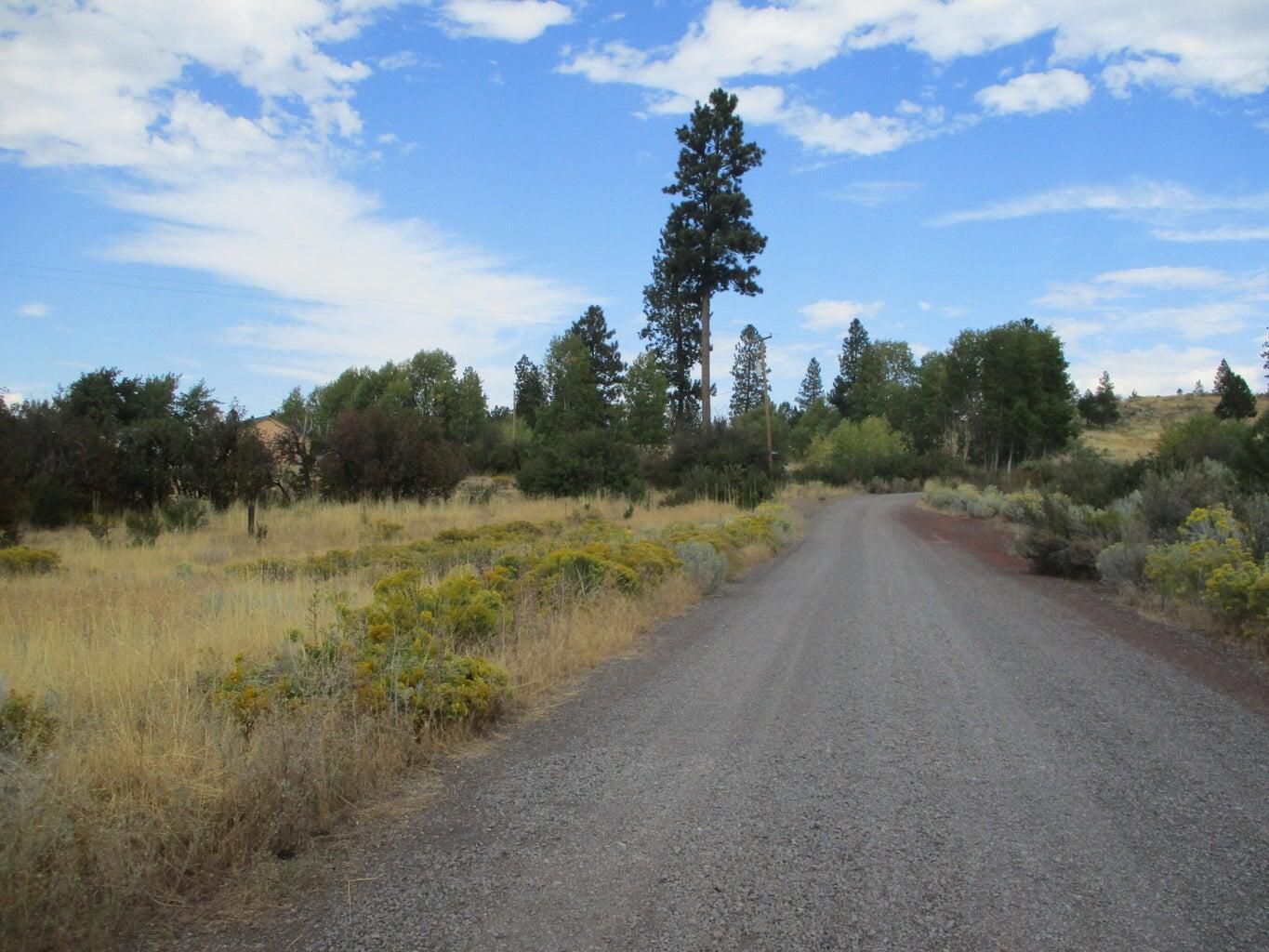 Monte Vista Ranch - Land
