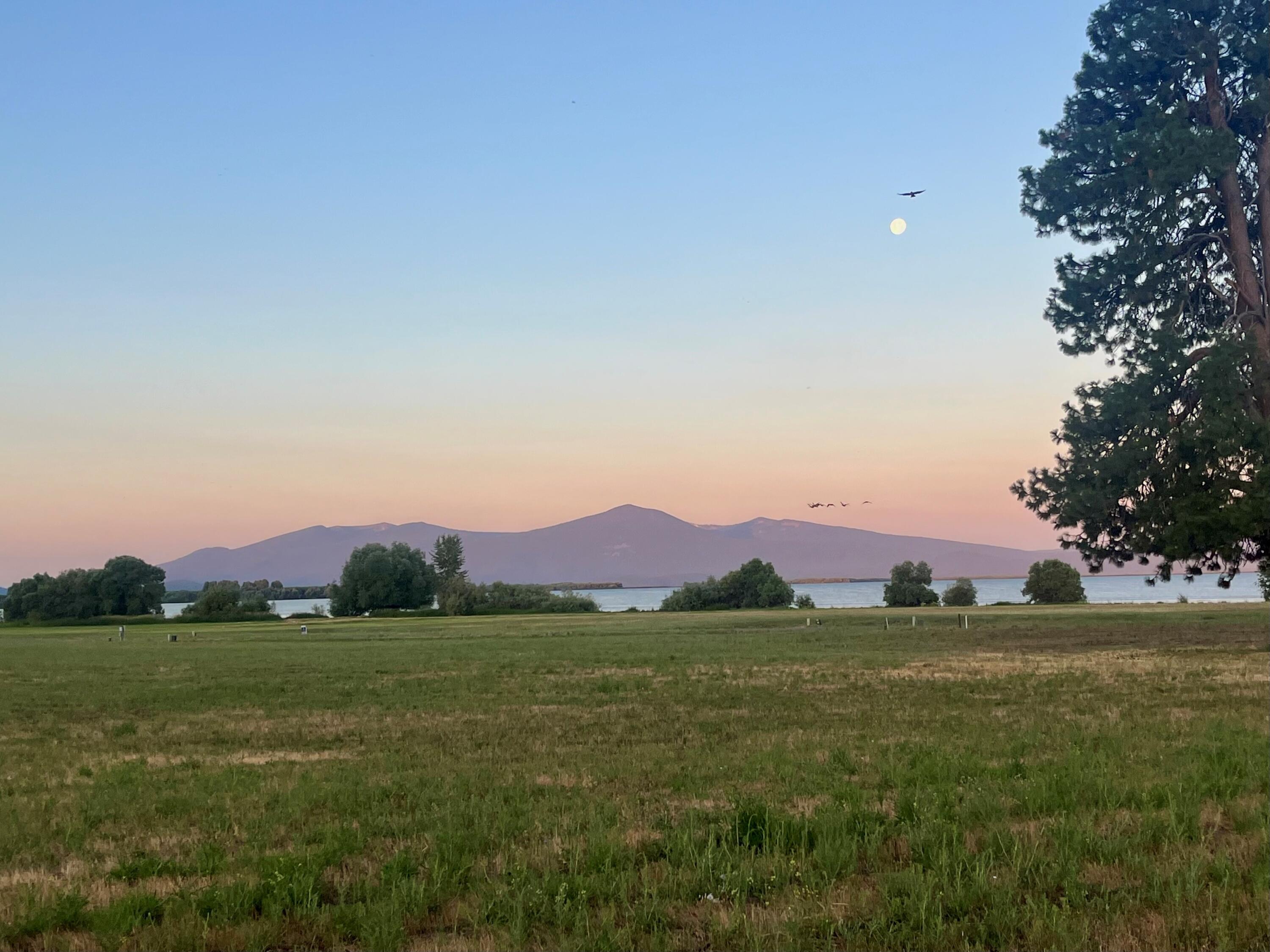 Level one acre close to Agency Lakeshores common space and access to the upper Klamath Lake. Cascade mountain views, fishing & kayaking right across the street! World-class birding trails, Crater Lake is a half hour away. Three rivers and tons of mountain lakes nearby. Come build your dream home. Stick-built homes only. CCRS keeps this a tidy spot for your vacation or forever home