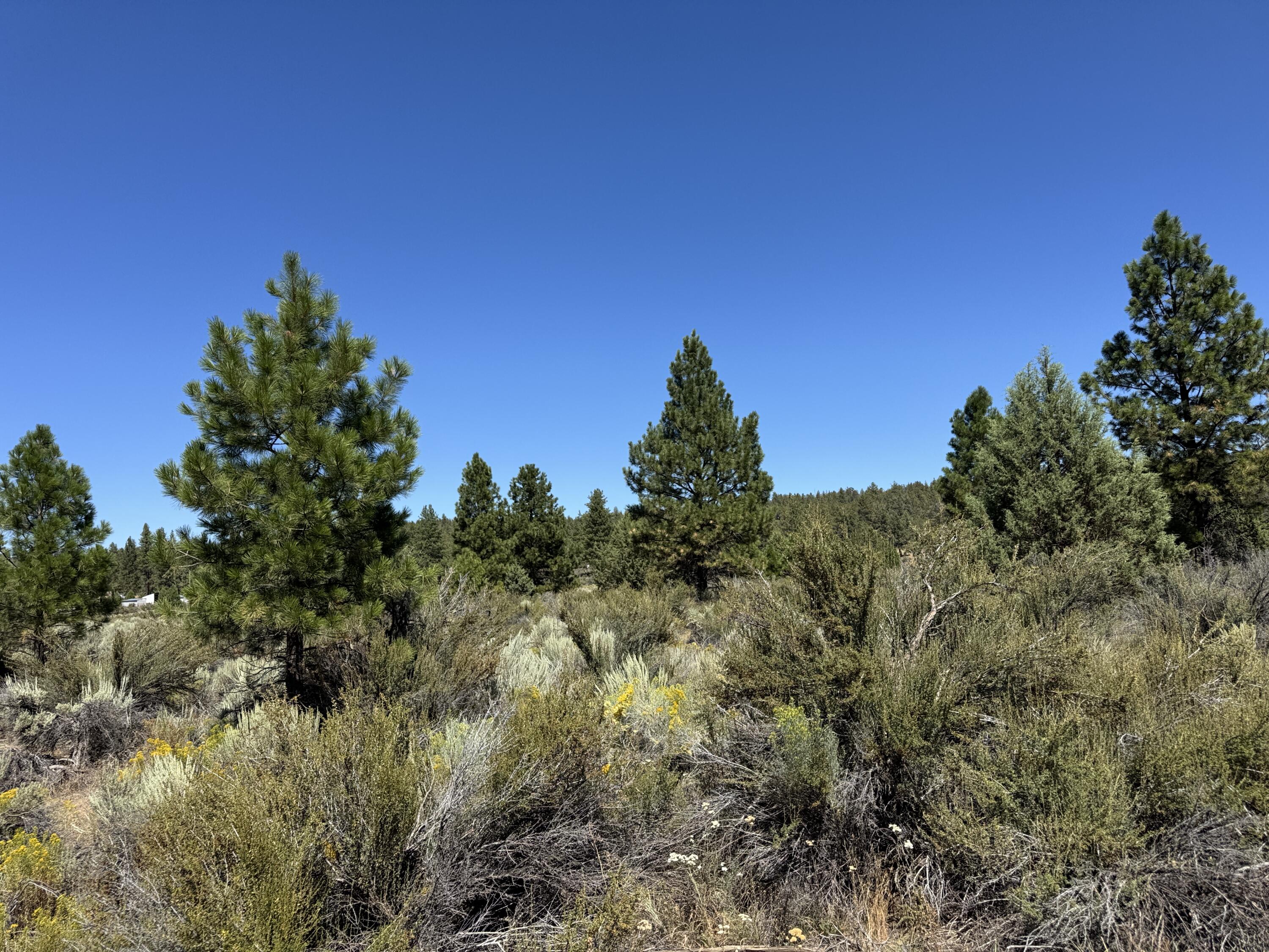 Klamath Forest Estates - Land