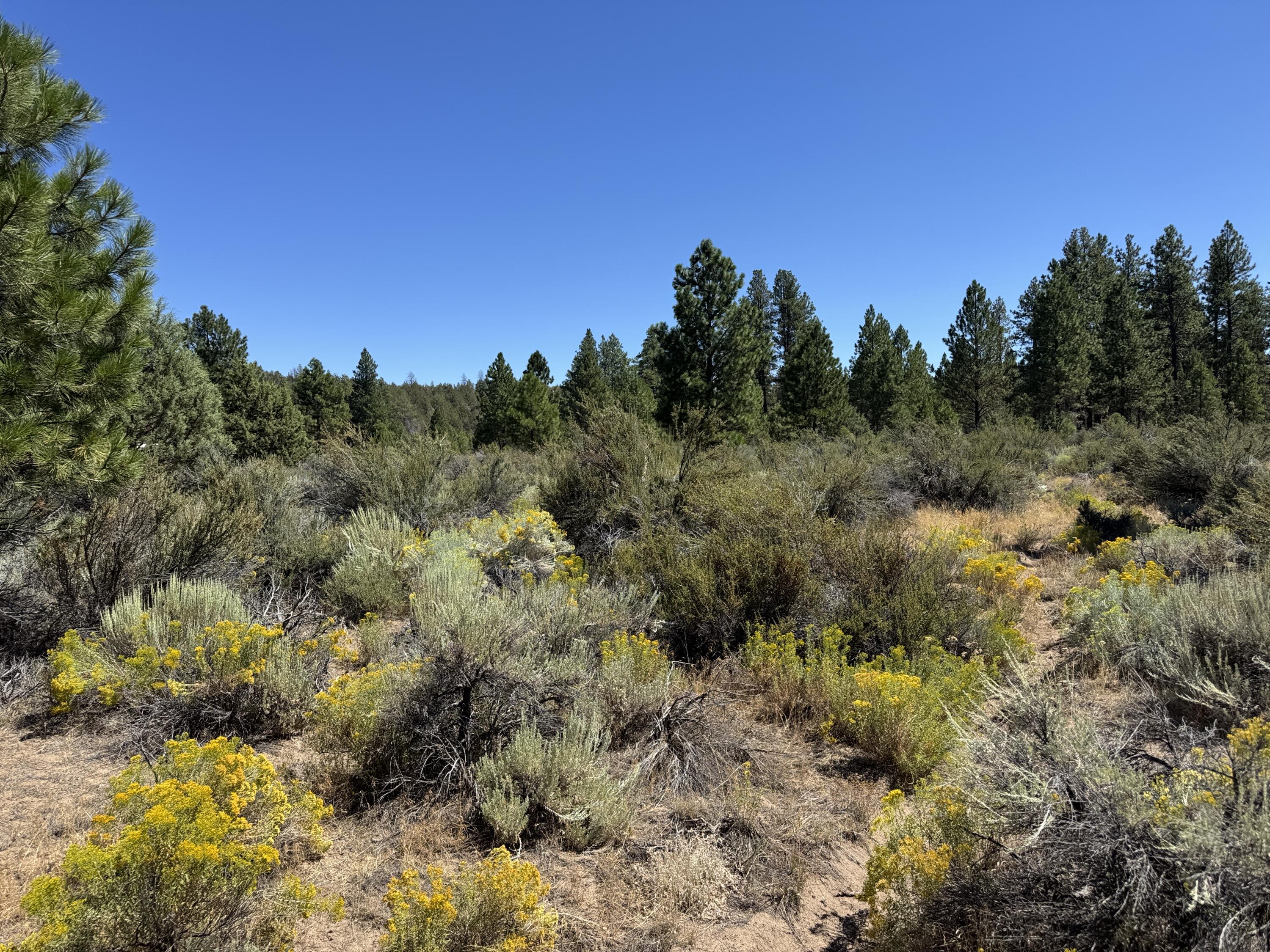 Klamath Forest Estates - Land
