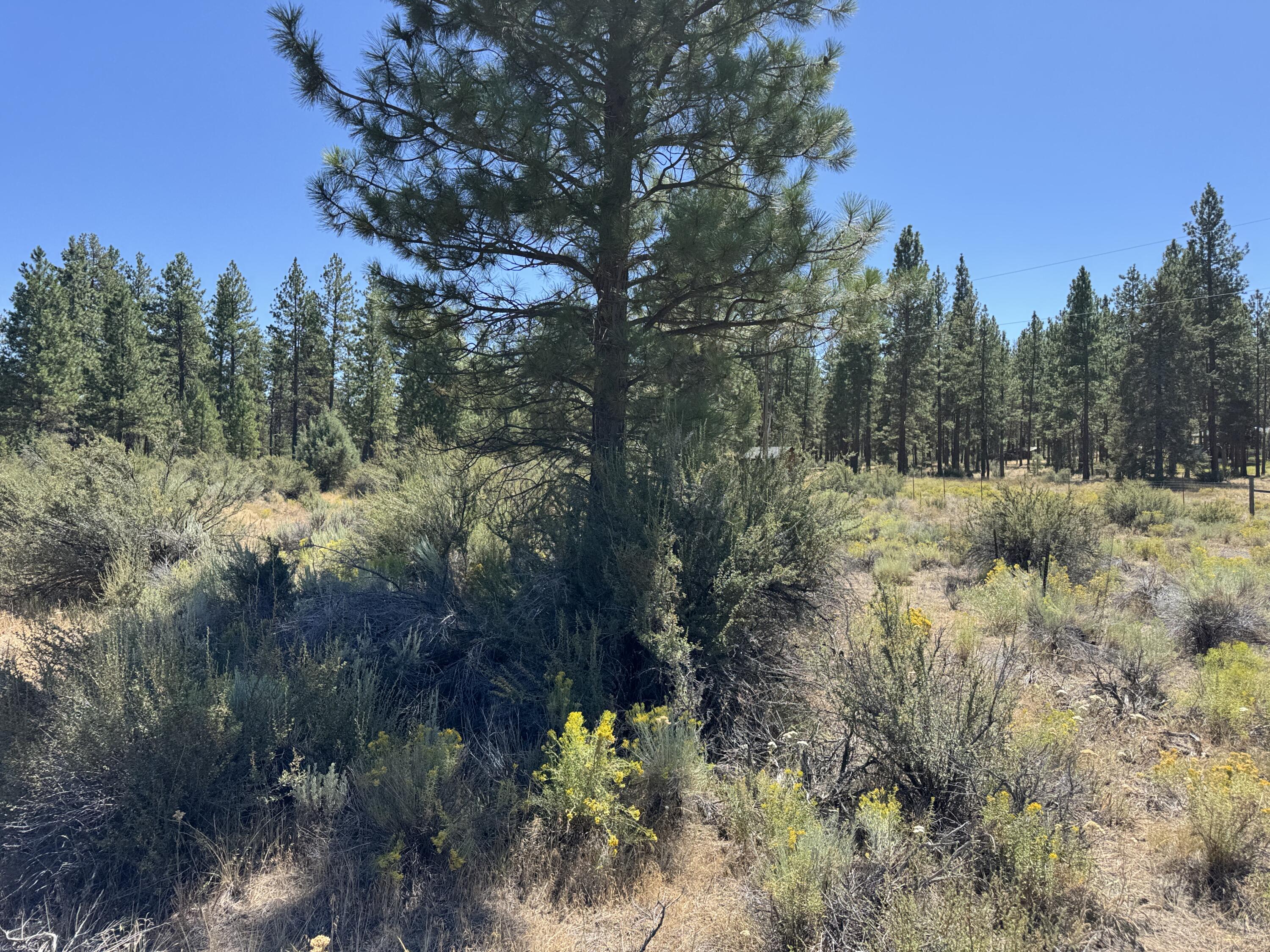 Klamath Forest Estates - Land