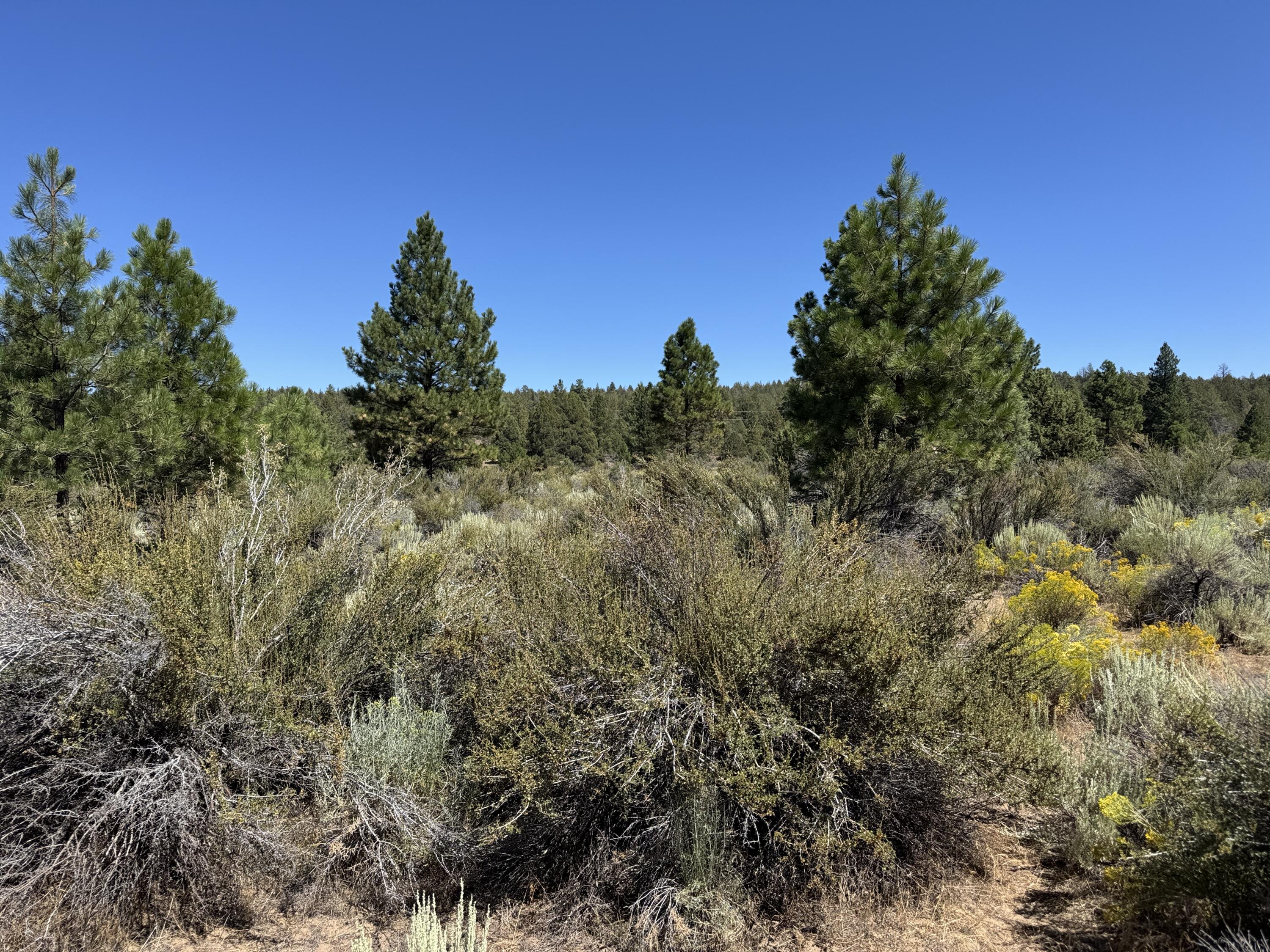 Klamath Forest Estates - Land