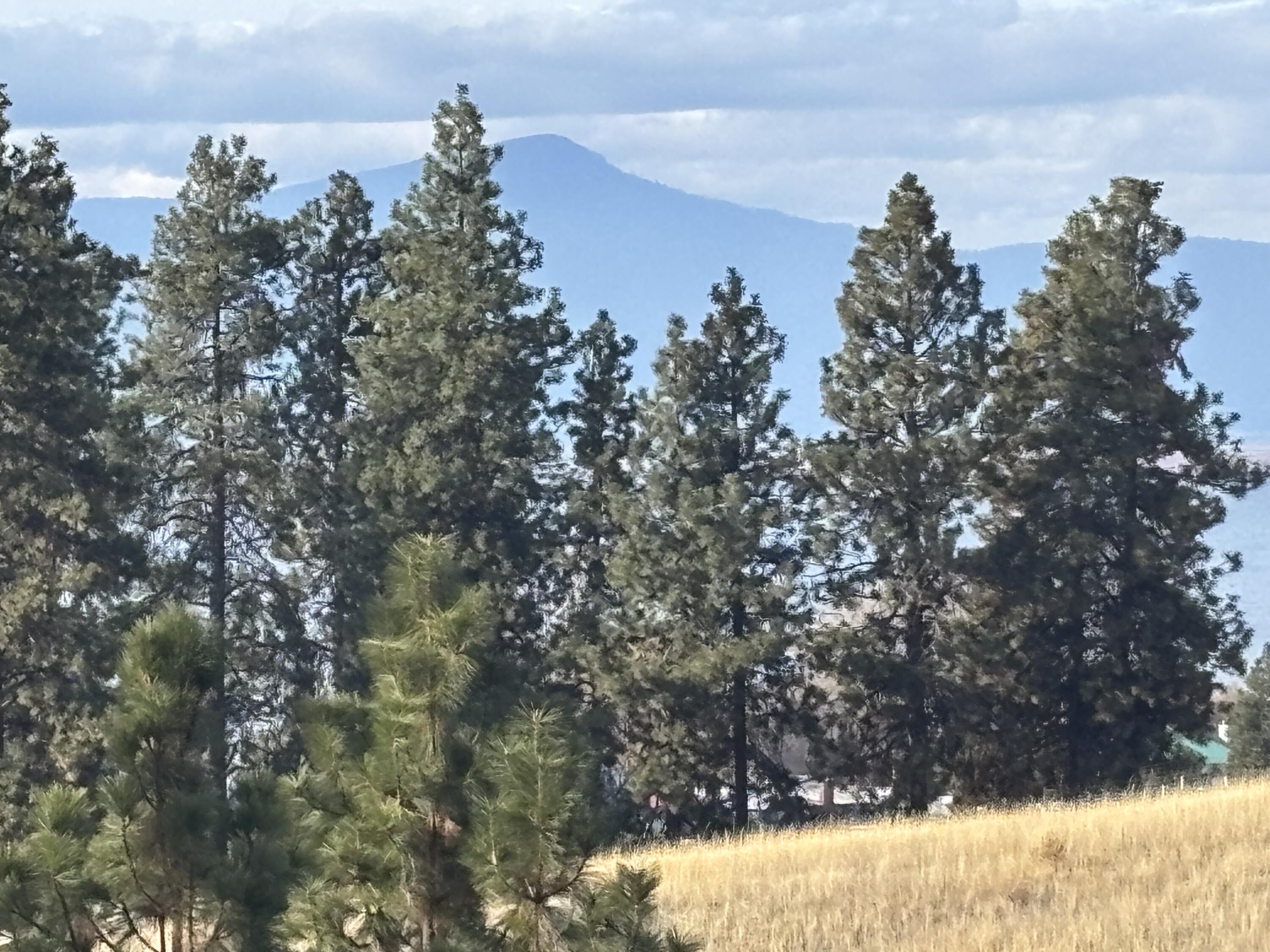 Bella Vista - Land