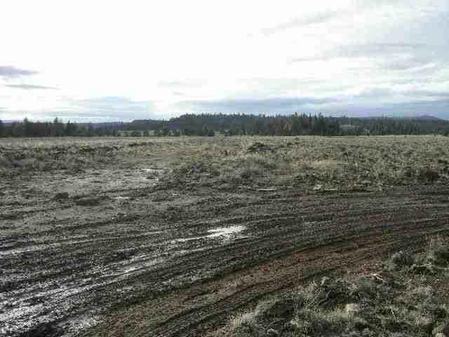 1 Of 7 Lots Available
