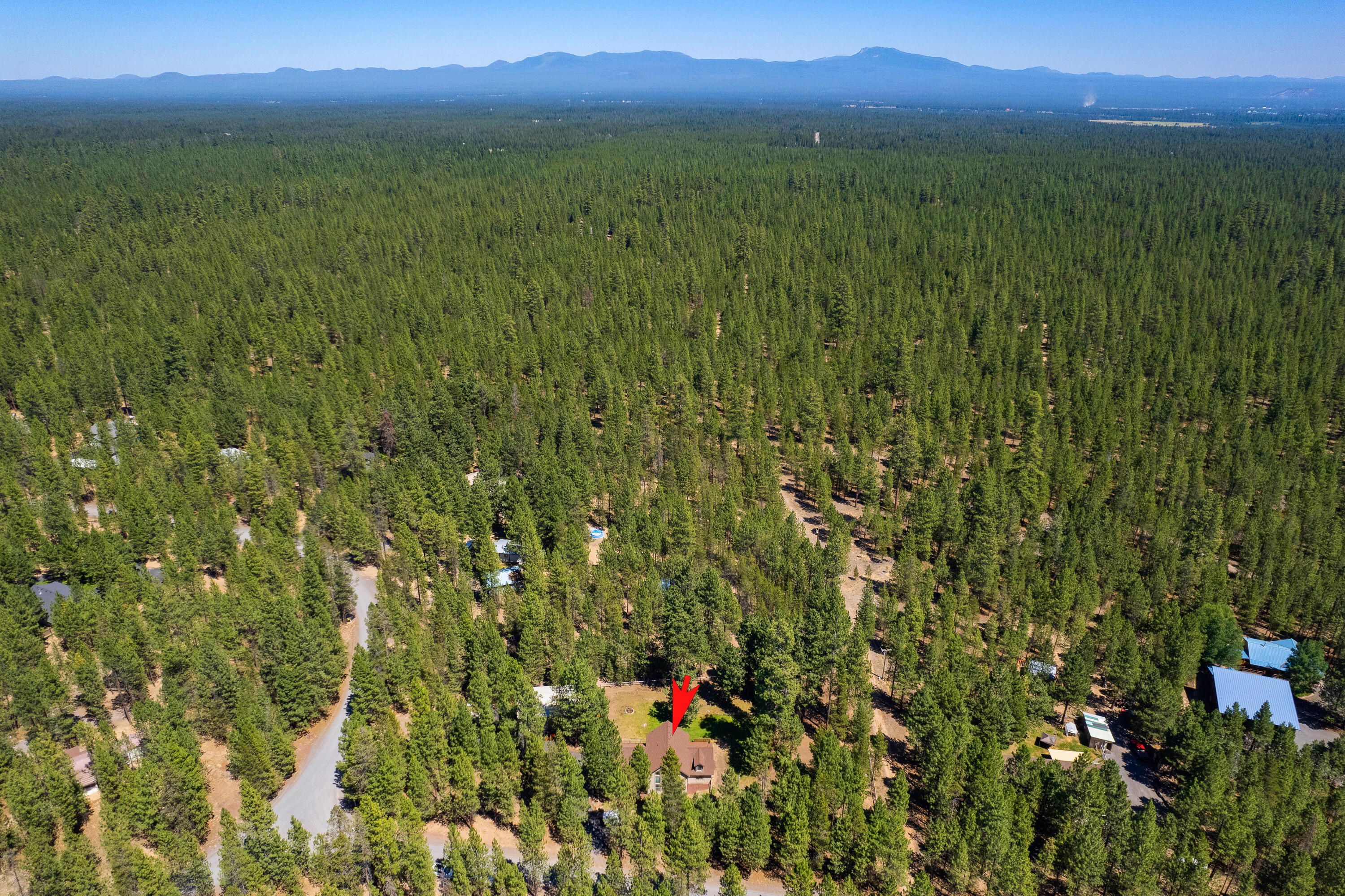 Ponderosa Pines - Residential