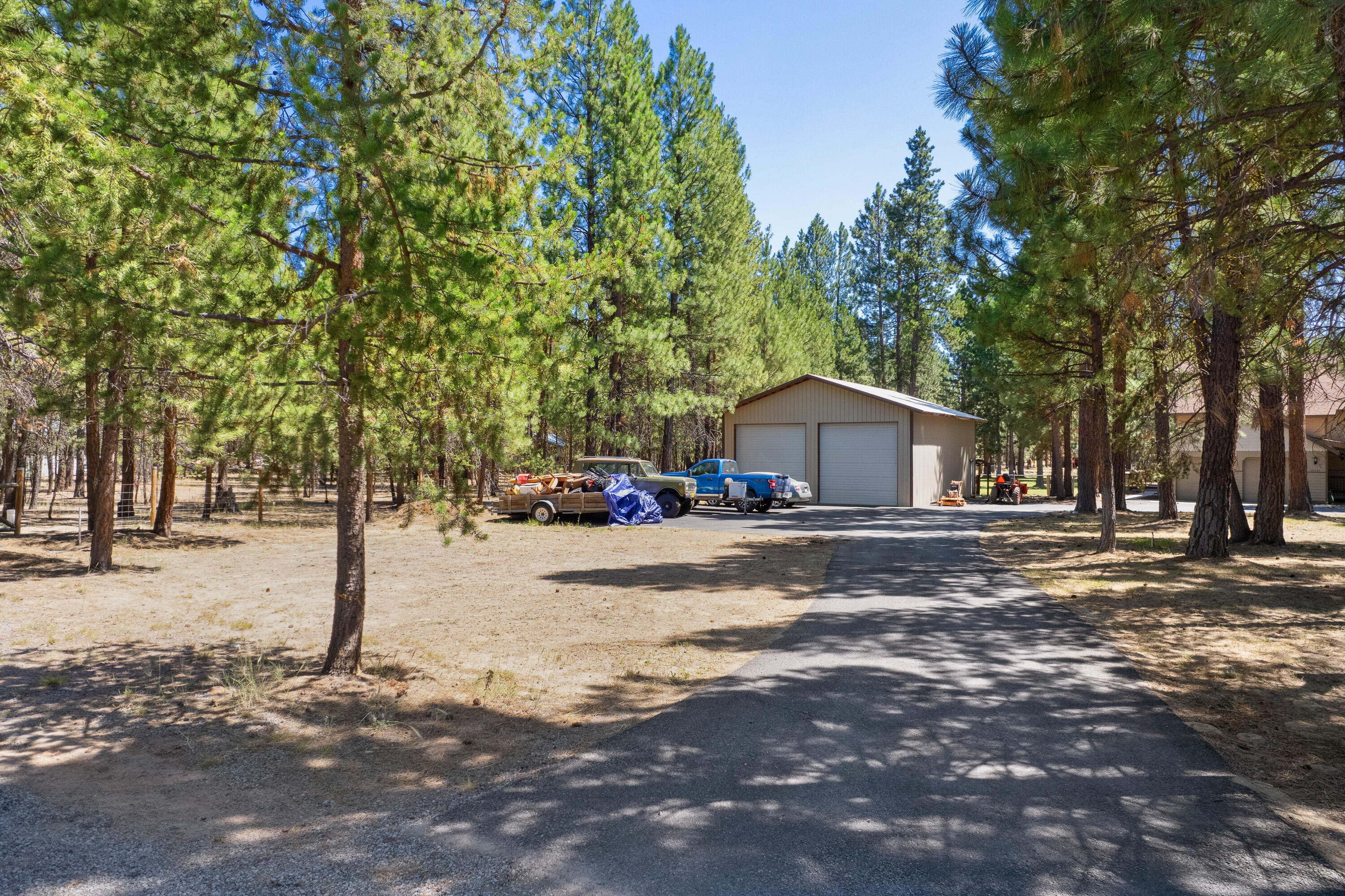 Ponderosa Pines - Residential