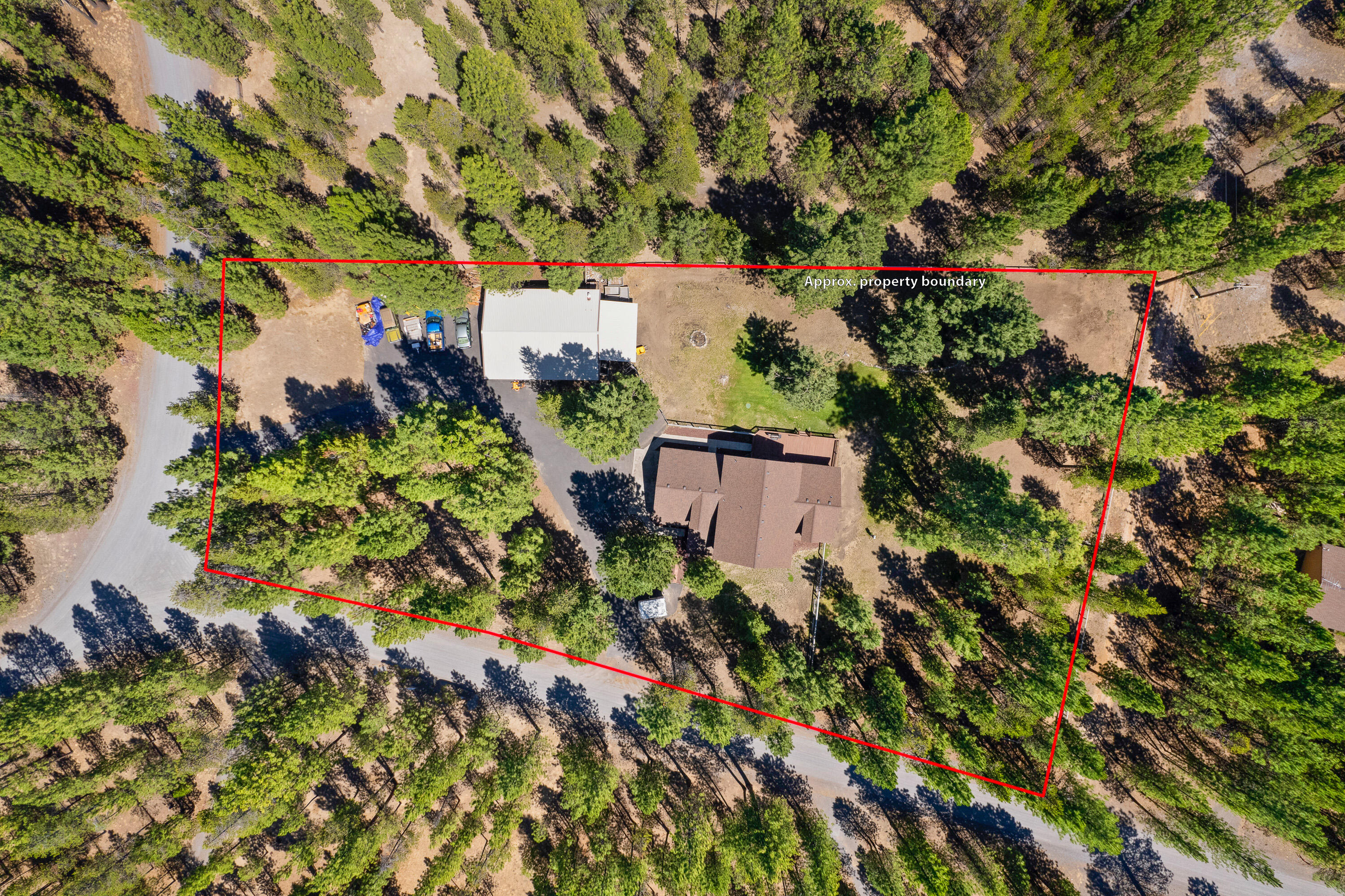Ponderosa Pines - Residential