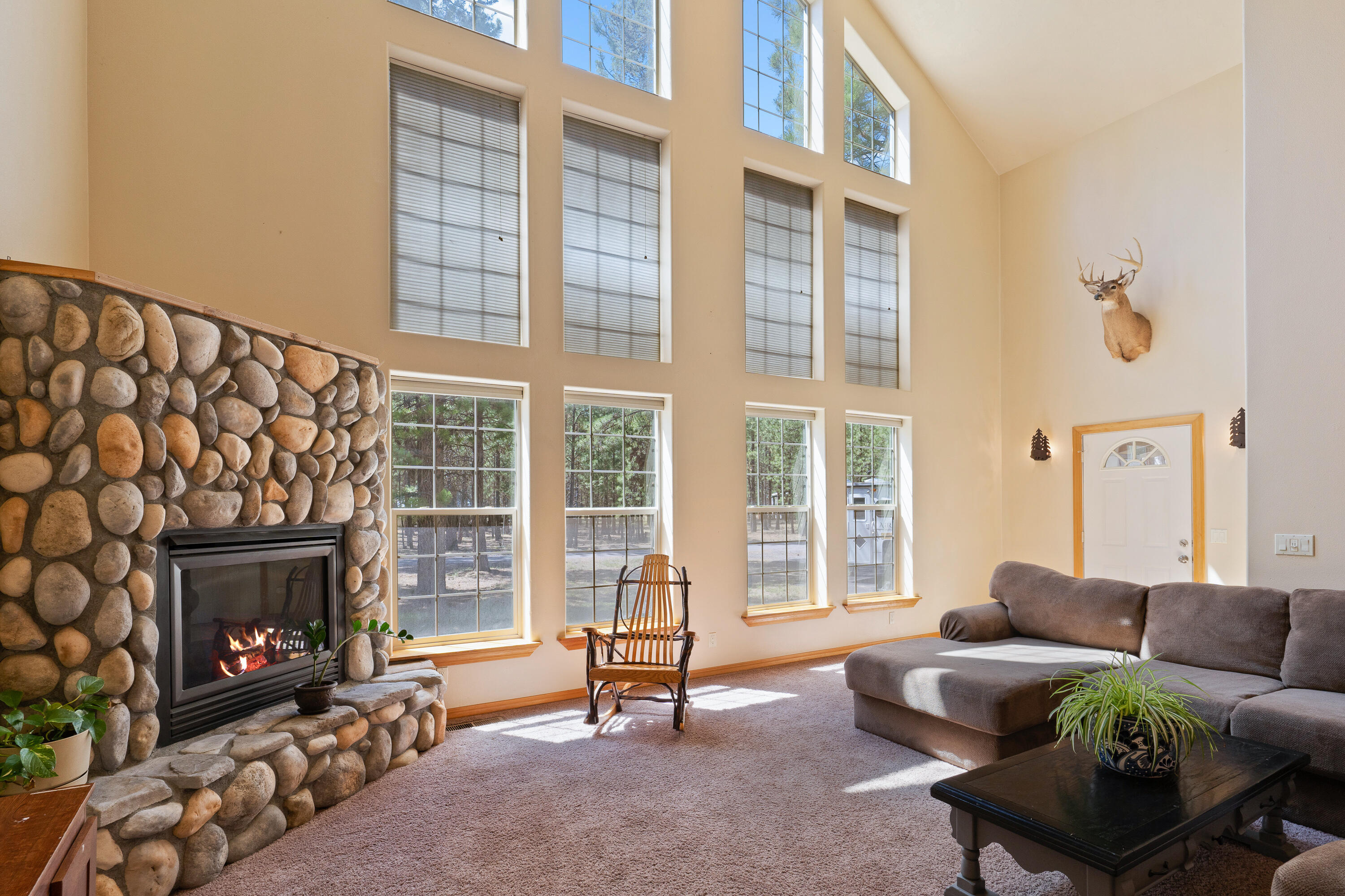 Ponderosa Pines - Residential