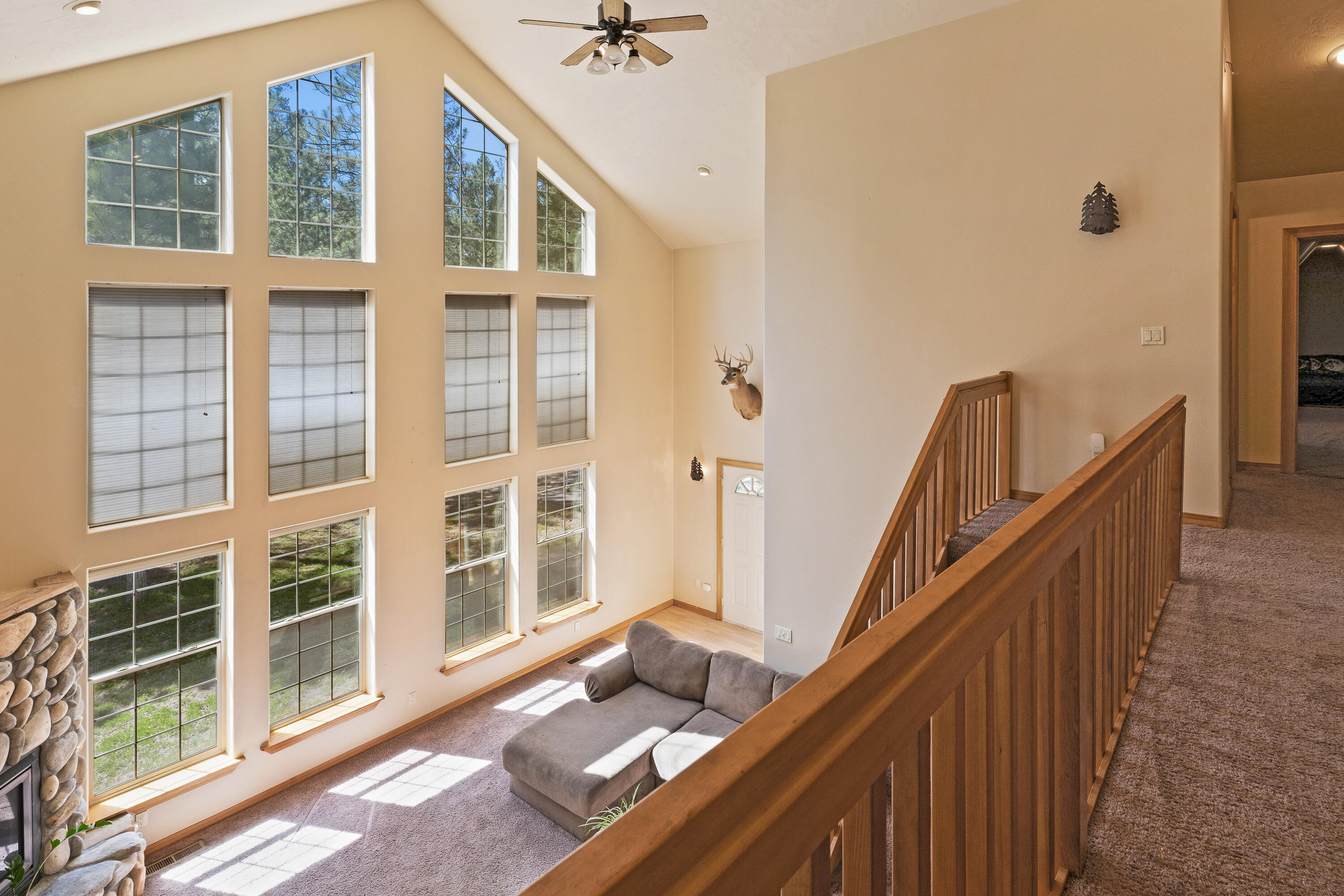 Ponderosa Pines - Residential