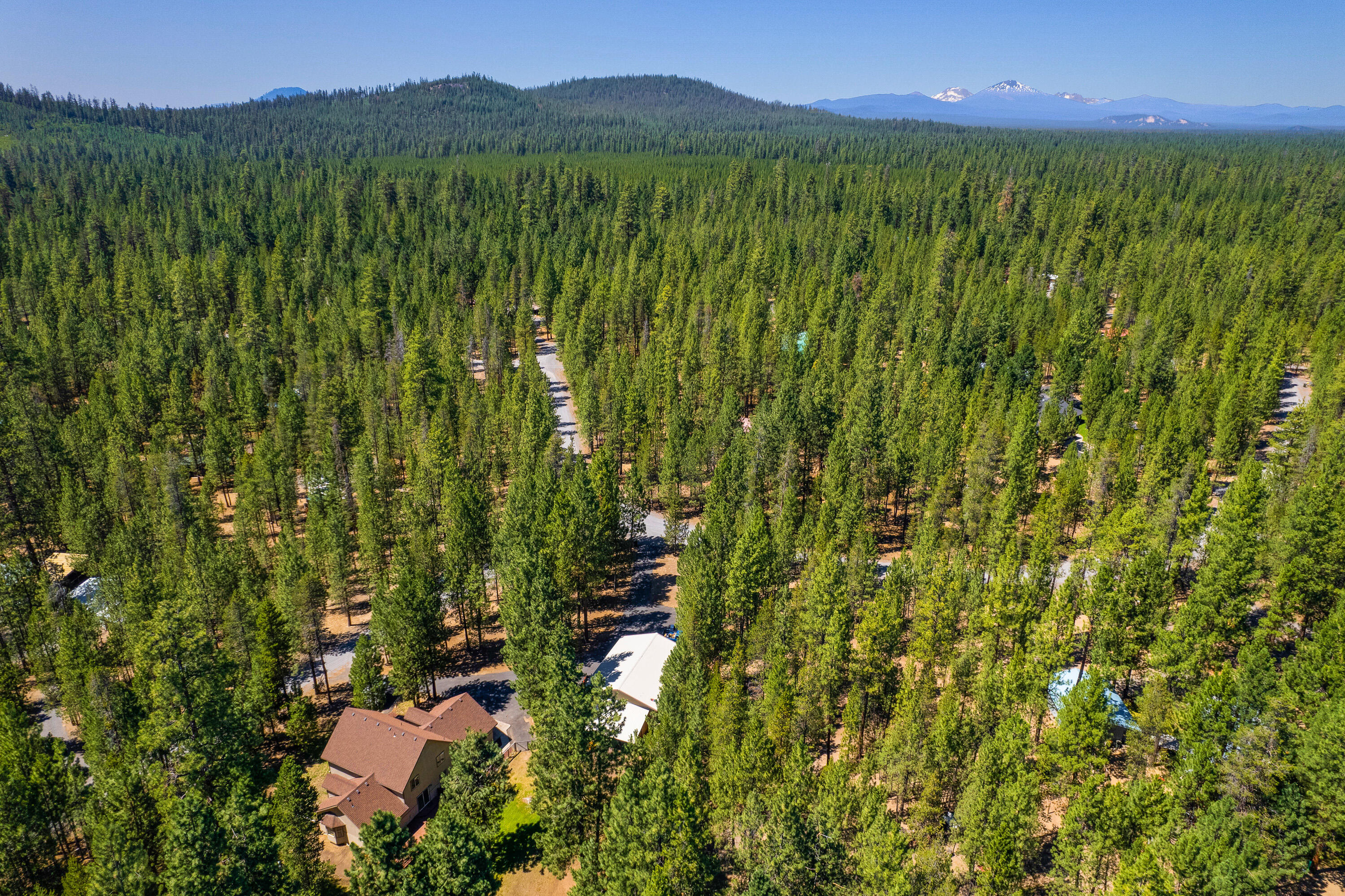 Ponderosa Pines - Residential