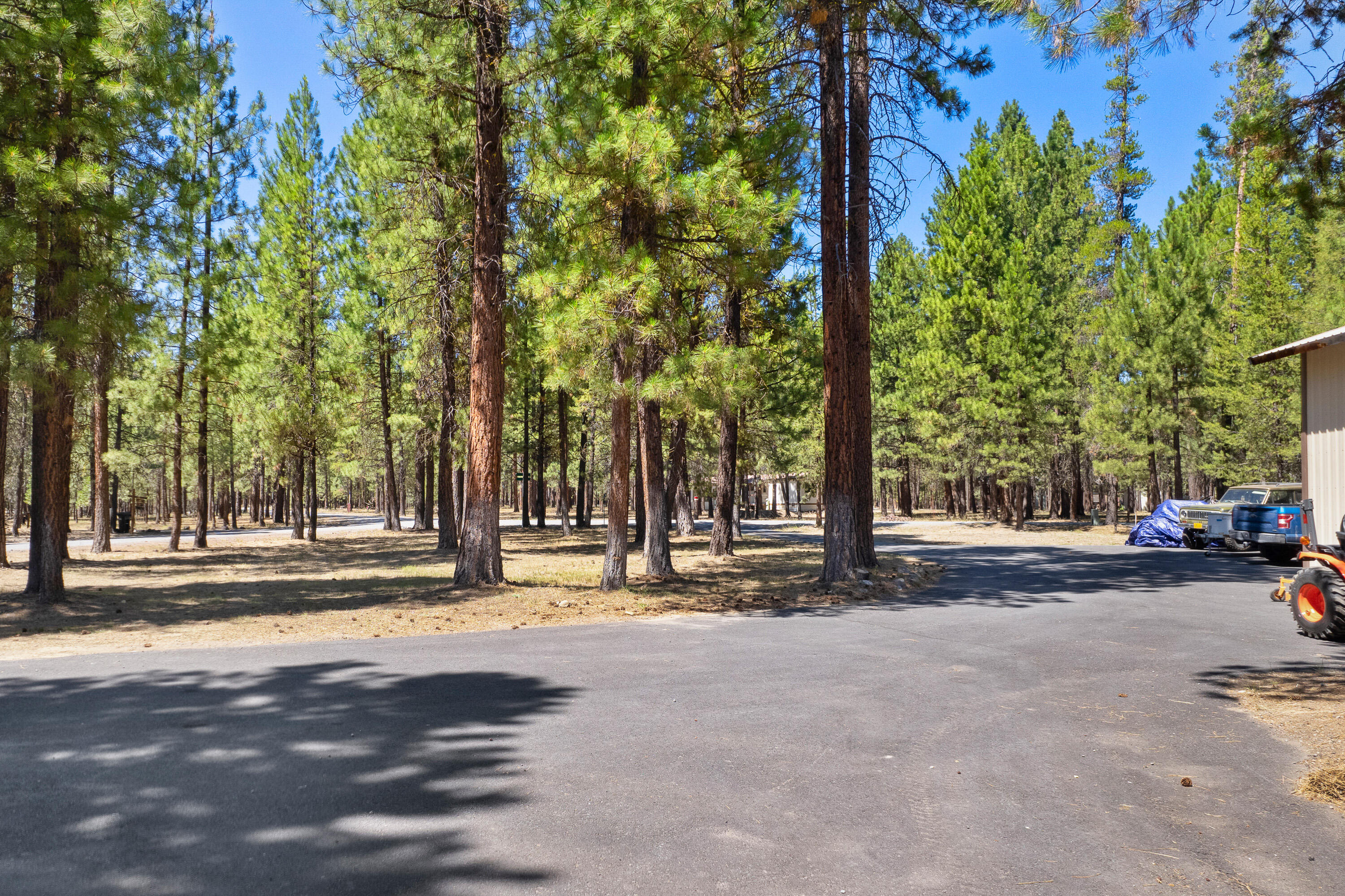 Ponderosa Pines - Residential