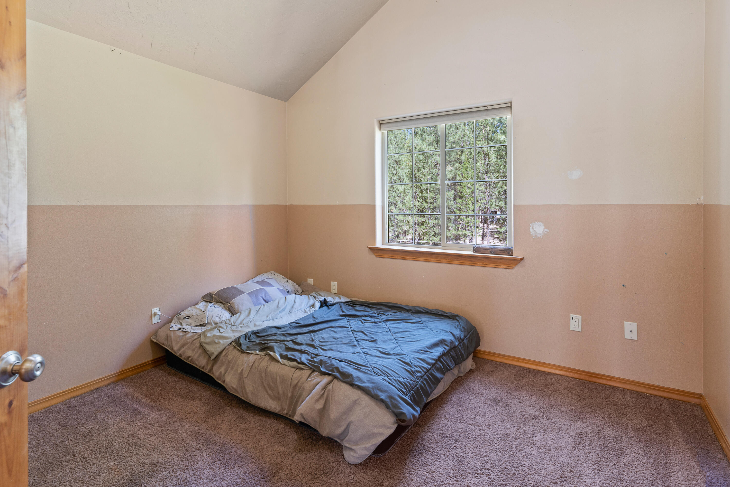 Ponderosa Pines - Residential