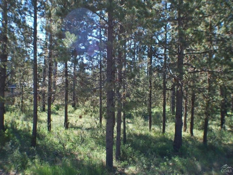 Set up with Water, Sewer and Electric already installed. There is an RV pad as well. This Lot can have a Manufactured Home or bring your Home plans. OWW2 has a community boat ramp and picnic area. You can also purchase the Sellers RV it is new and valued at $32,000.
