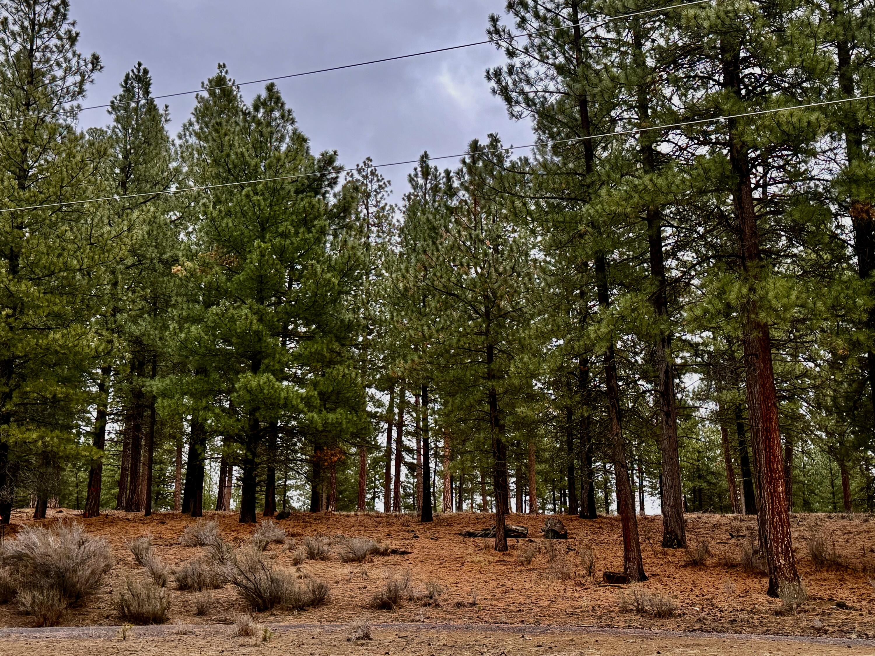 Chiloquin Acres - Residential
