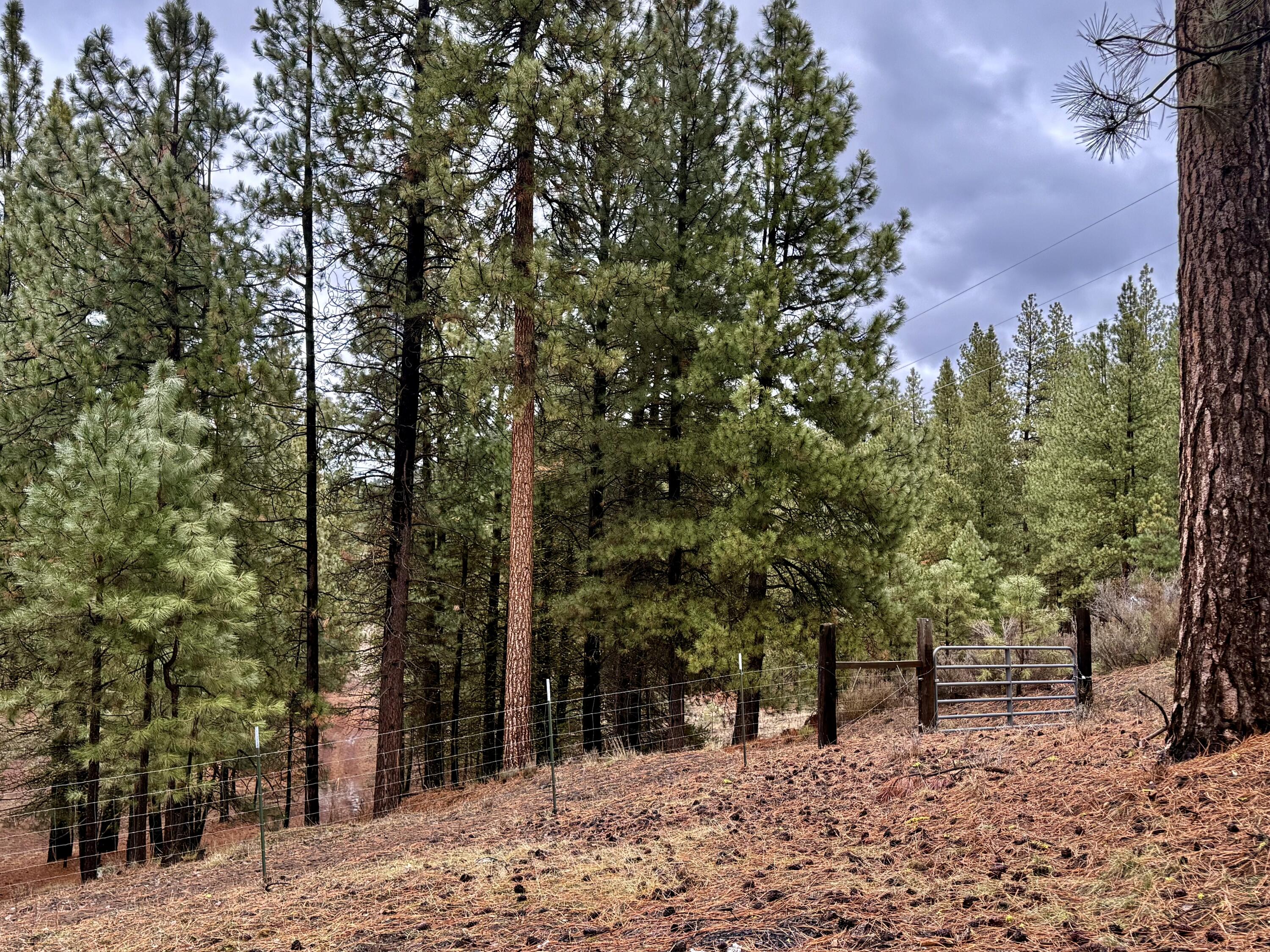 Chiloquin Acres - Residential
