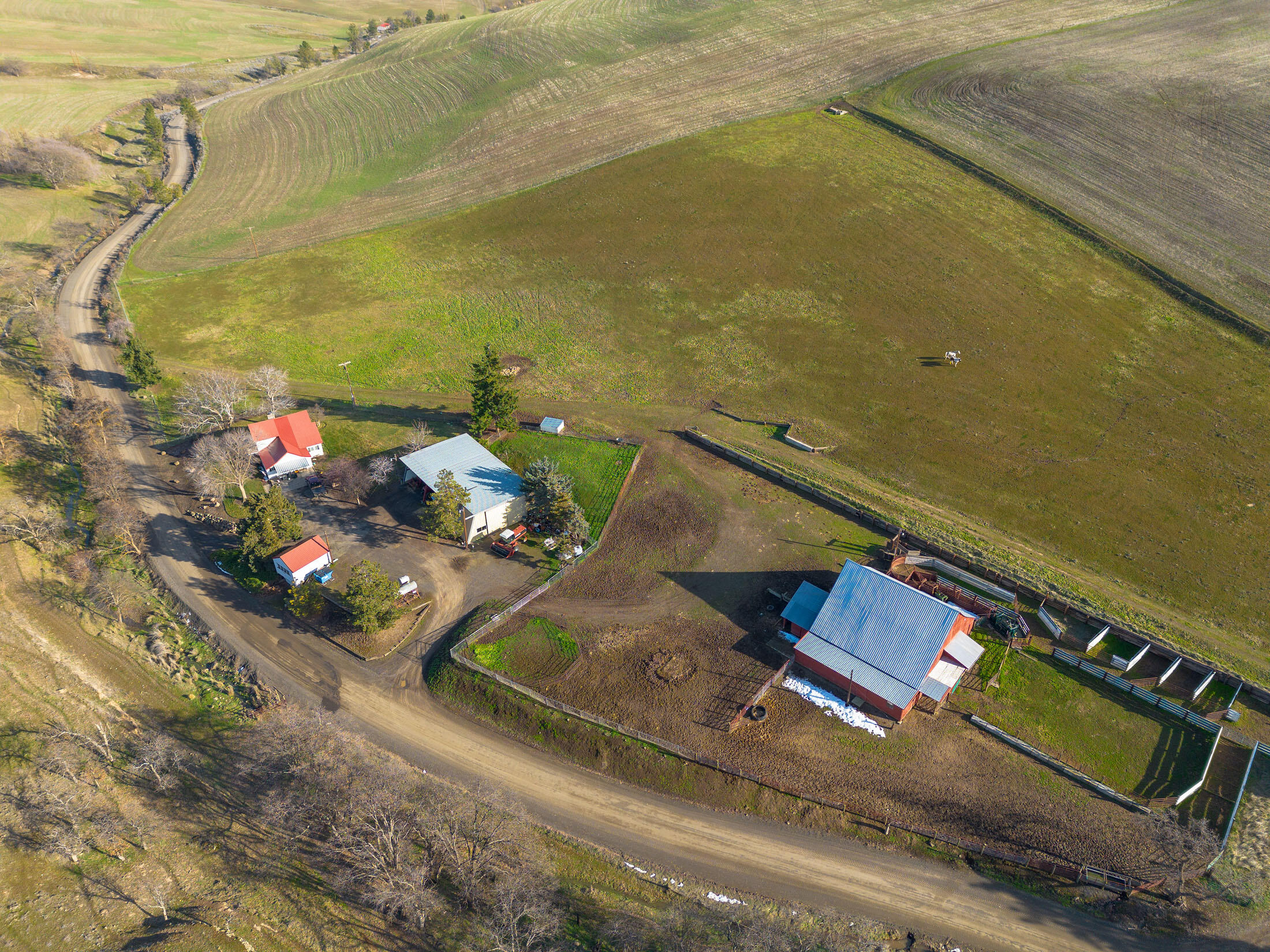 Located near Dufur, Oregon, Pine Hollow Farm is a productive dryland wheat farm/cattle operation with two homes, cattle working facilities, shop, barn and  and hay storage, easily accessed from Pine Hollow Rd. Includes 749± acres of productive dryland farm ground, averaging 30-70± bushels of wheat/acre, on a summer-fallow rotational basis. Hunters and wildlife enthusiasts will enjoy the many draws and rolling terrain, which provides excellent habitat for the mule deer, black-tailed deer, upland game birds, and turkey who make Pine Hollow Farm their home. From the hilltops are astonishing views of Mount Hood, the expanded Cascade Range and the surrounding rolling dryland farming and grazing fields. A Preliminary Partition Plat is pending Wasco County's final approval, so property tax amount is incorrect, until available. This is a rare offering for this area.