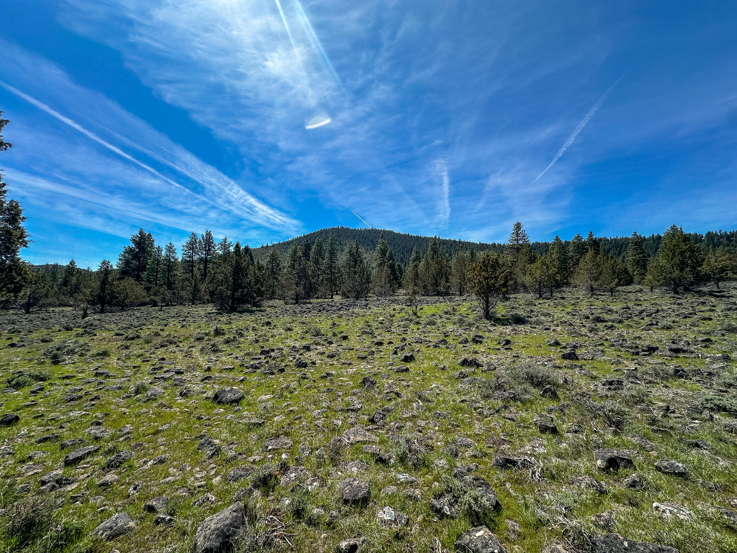 Cedar Trails - Land