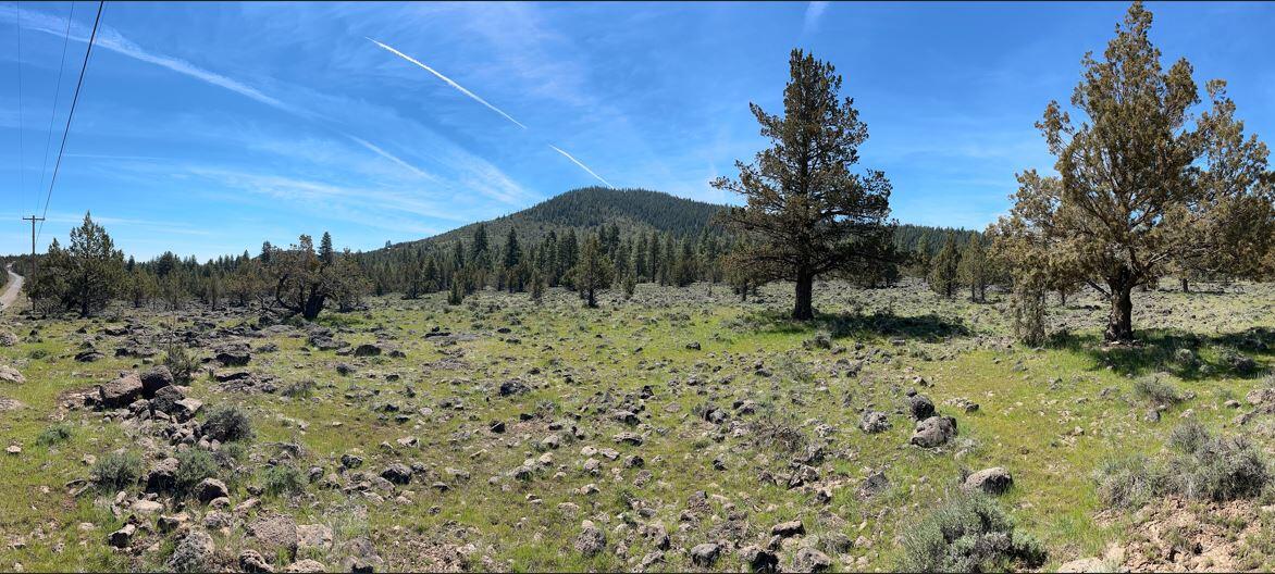 Cedar Trails - Land