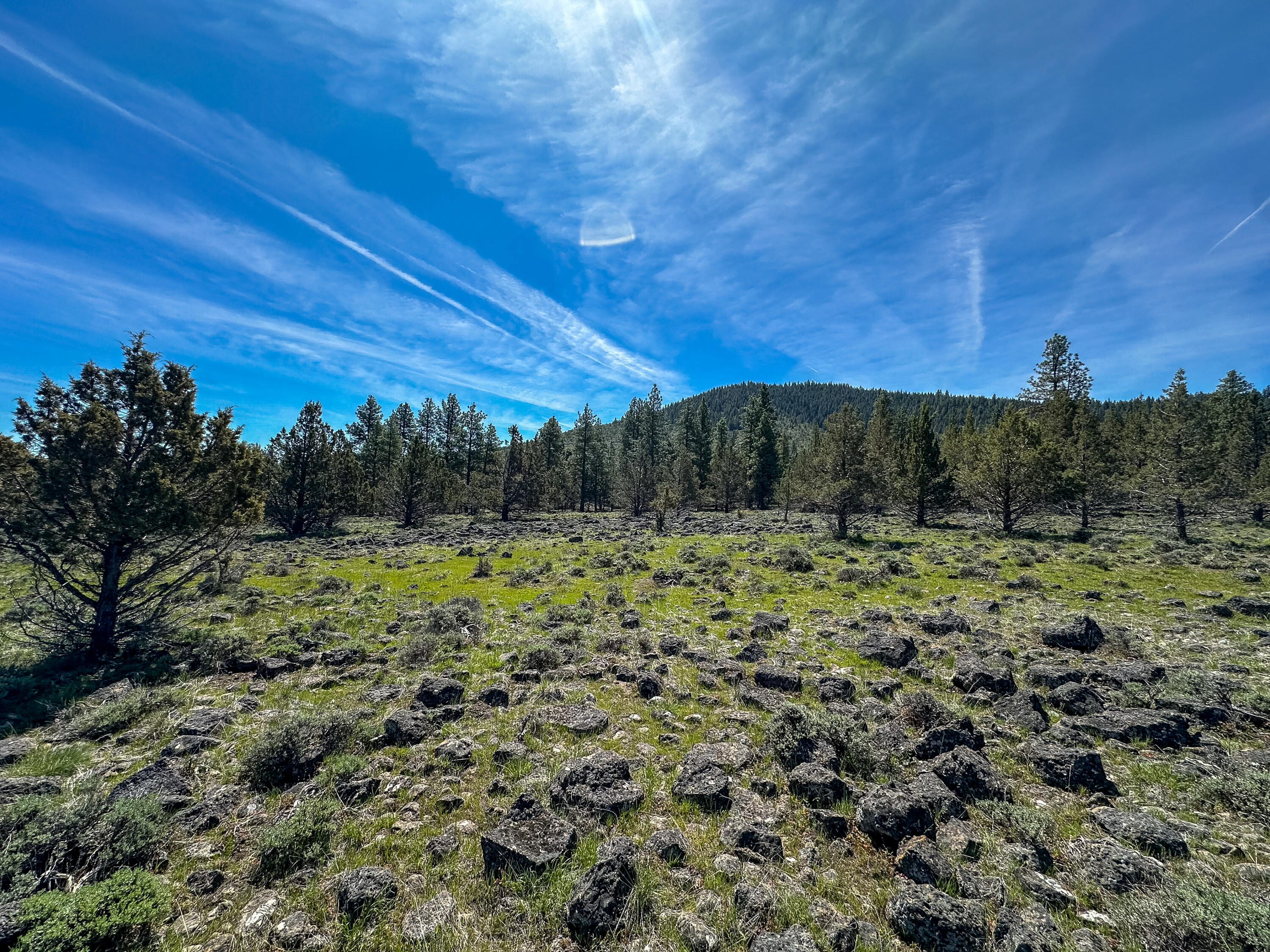 Cedar Trails - Land