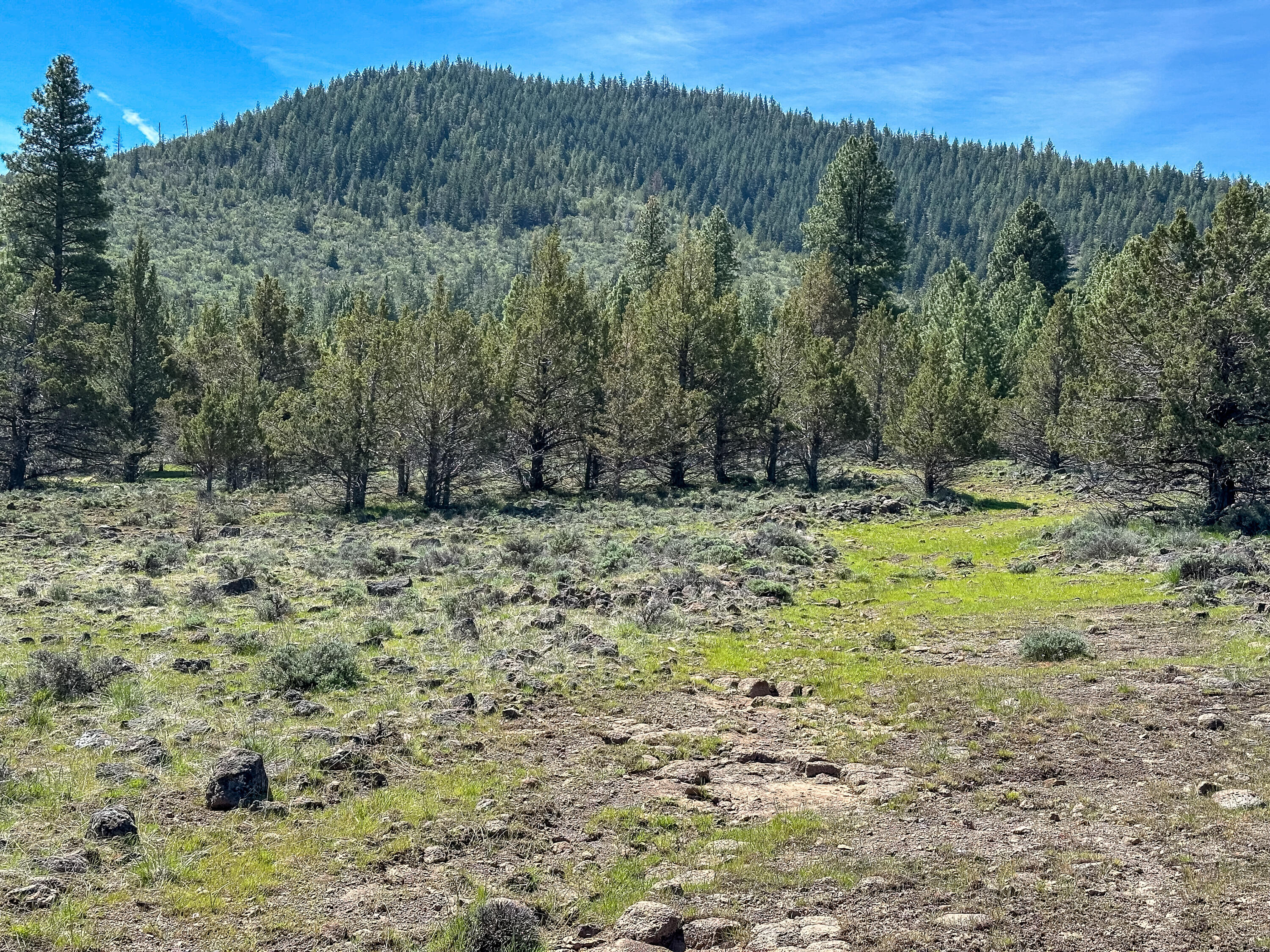 Cedar Trails - Land