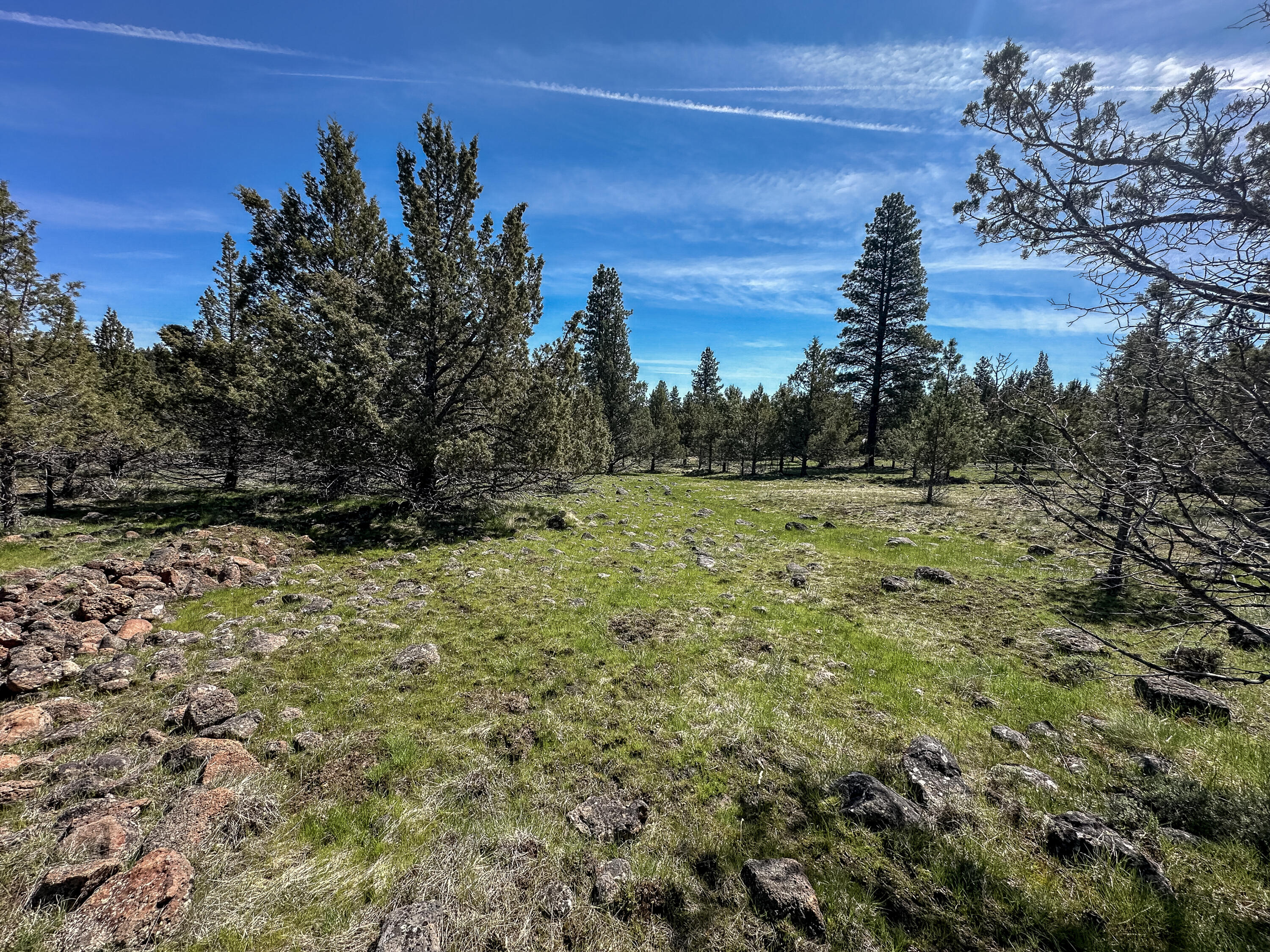 Cedar Trails - Land