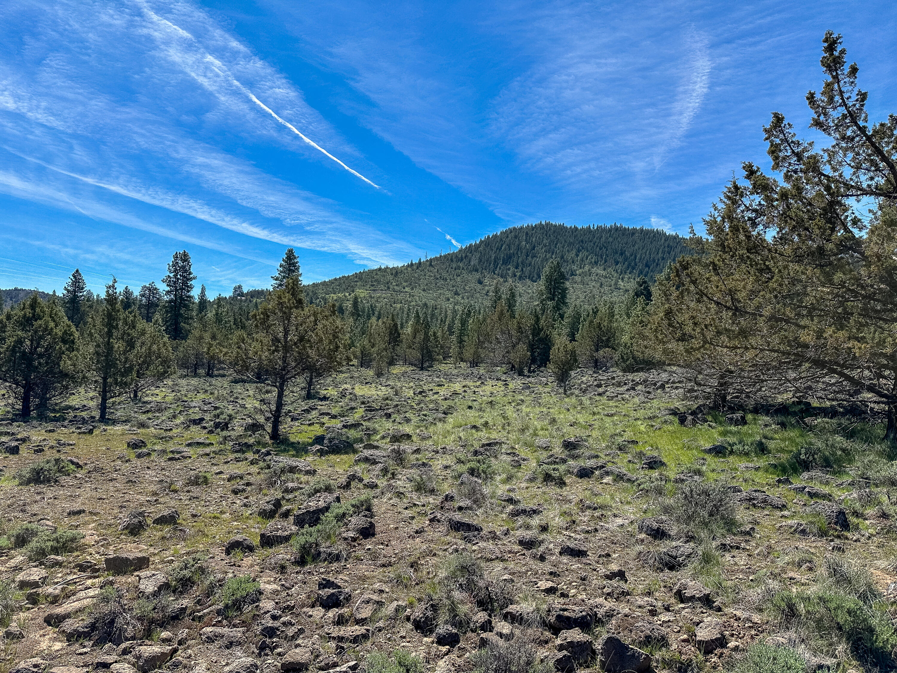 Cedar Trails - Land