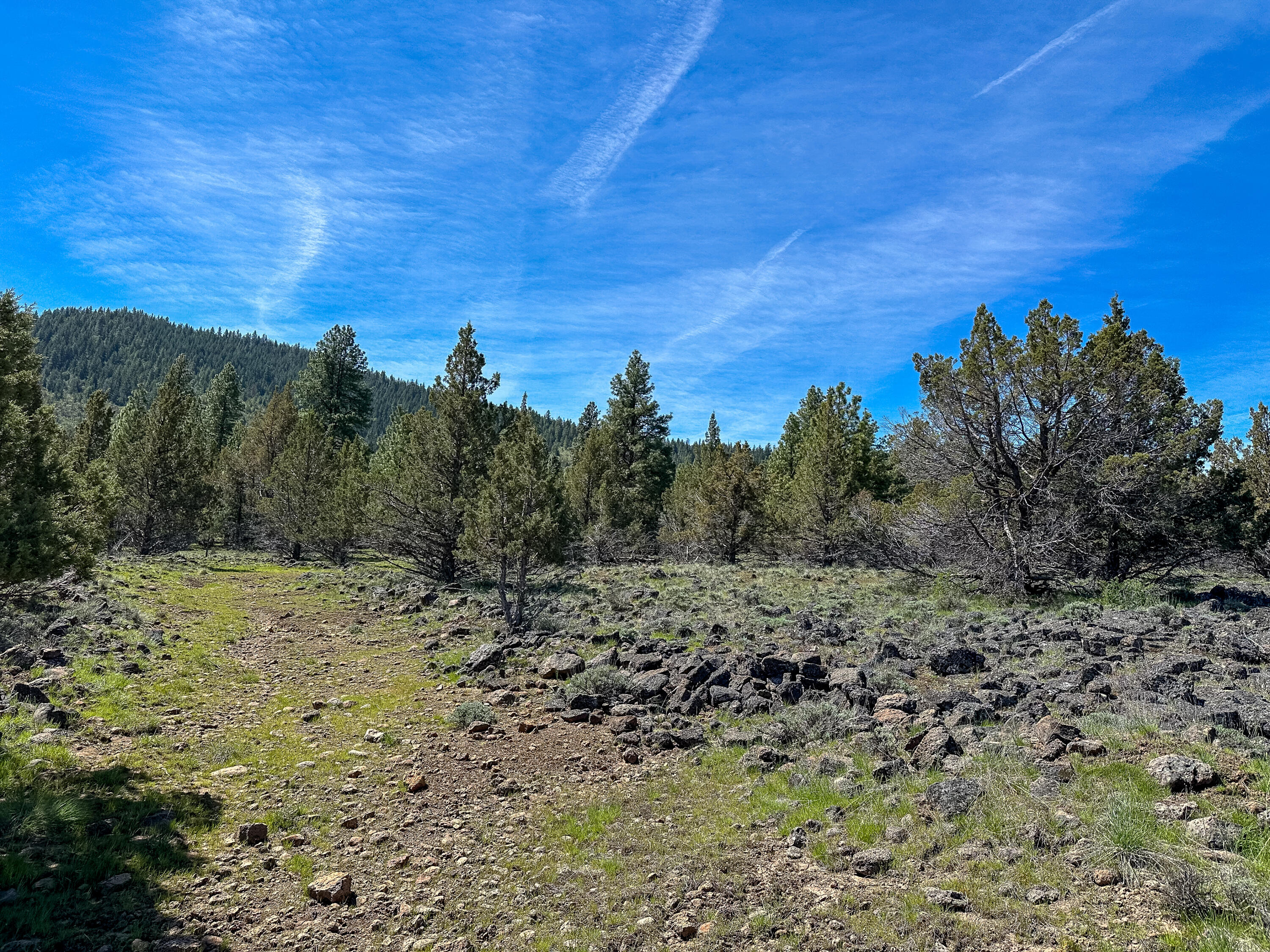 Cedar Trails - Land