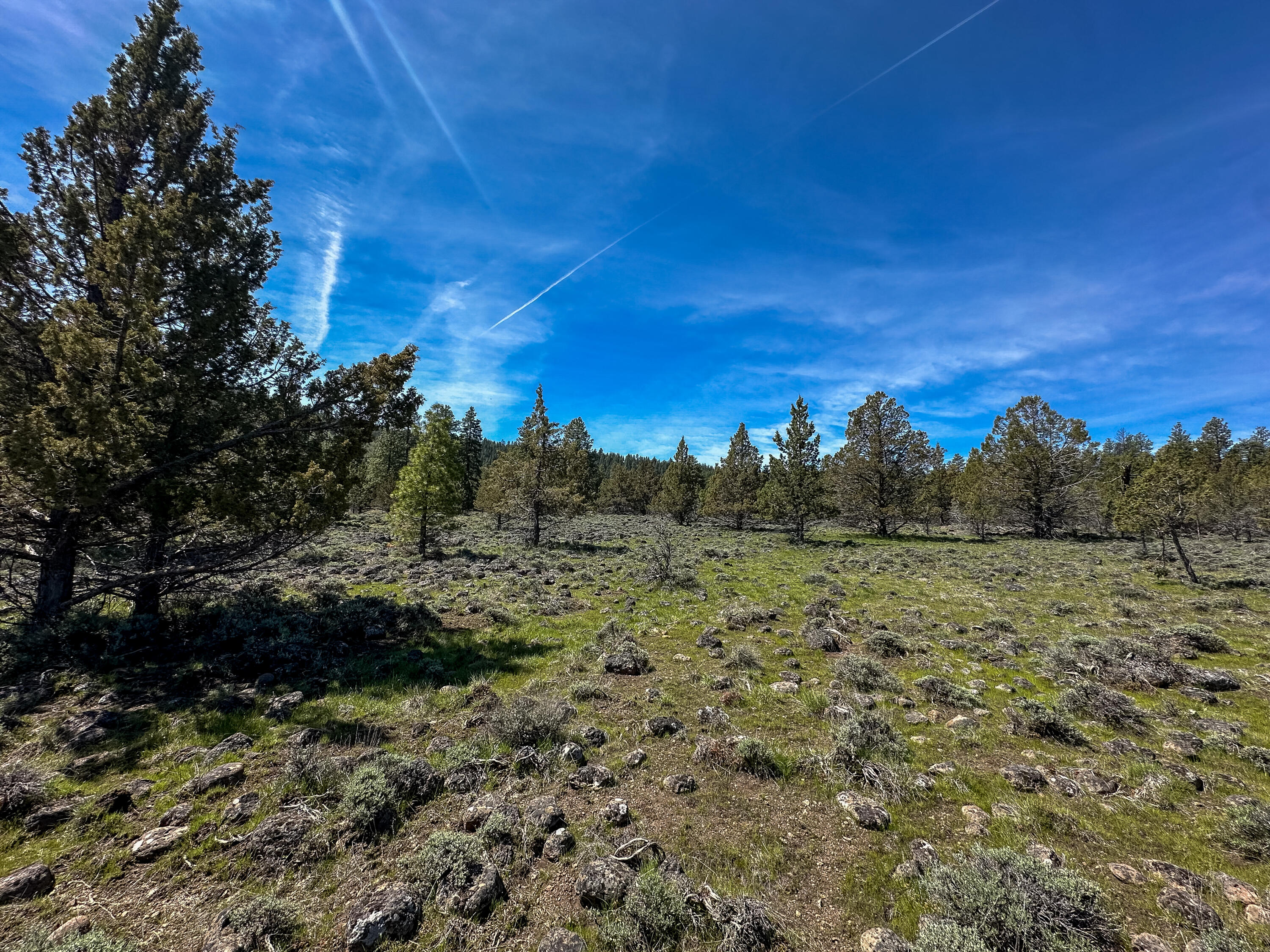 Cedar Trails - Land