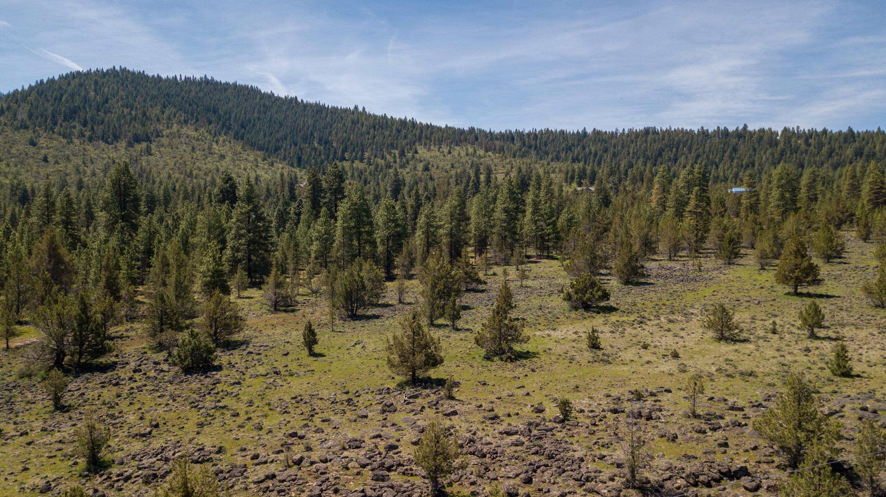 Cedar Trails - Land