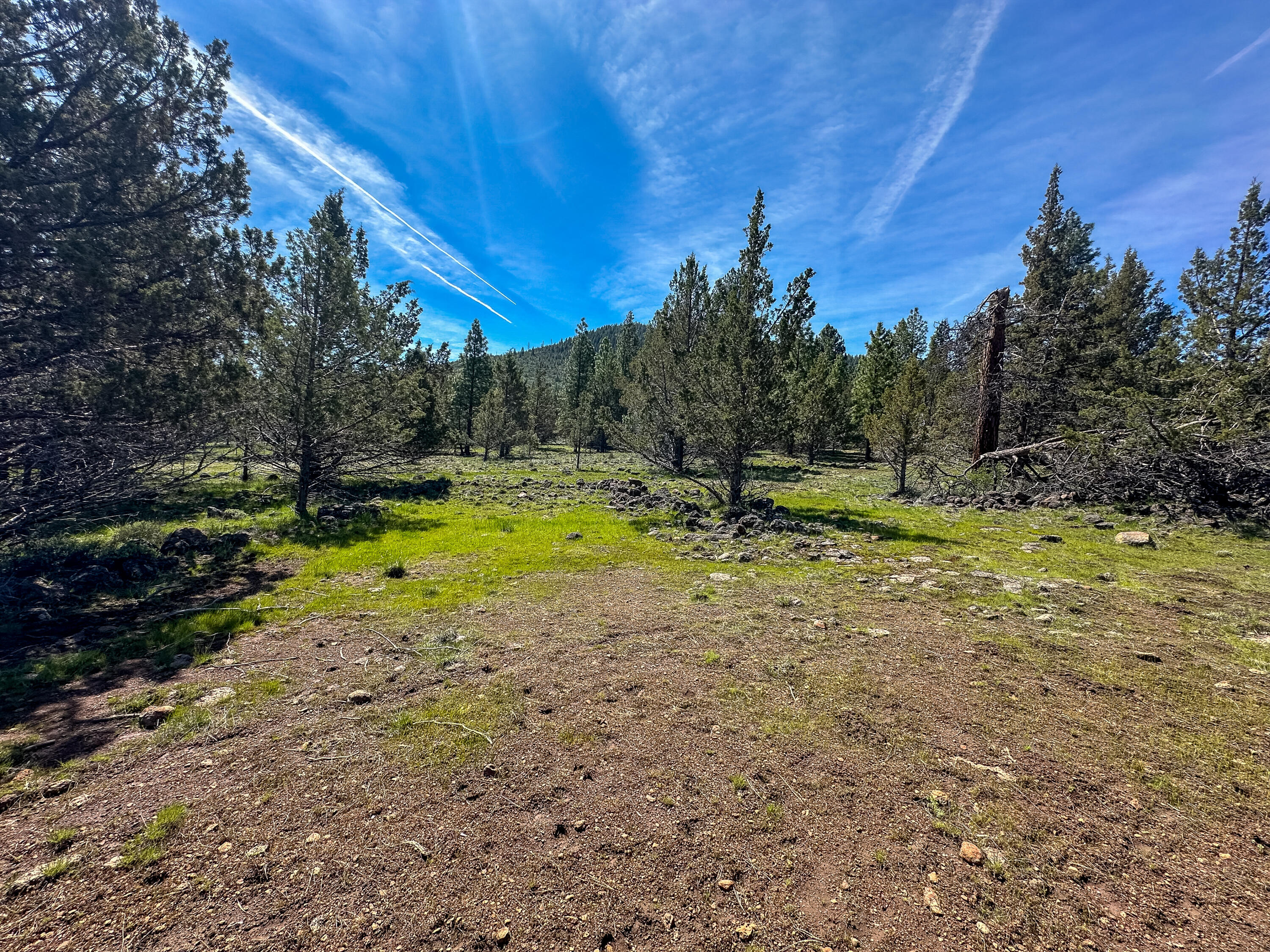 Cedar Trails - Land