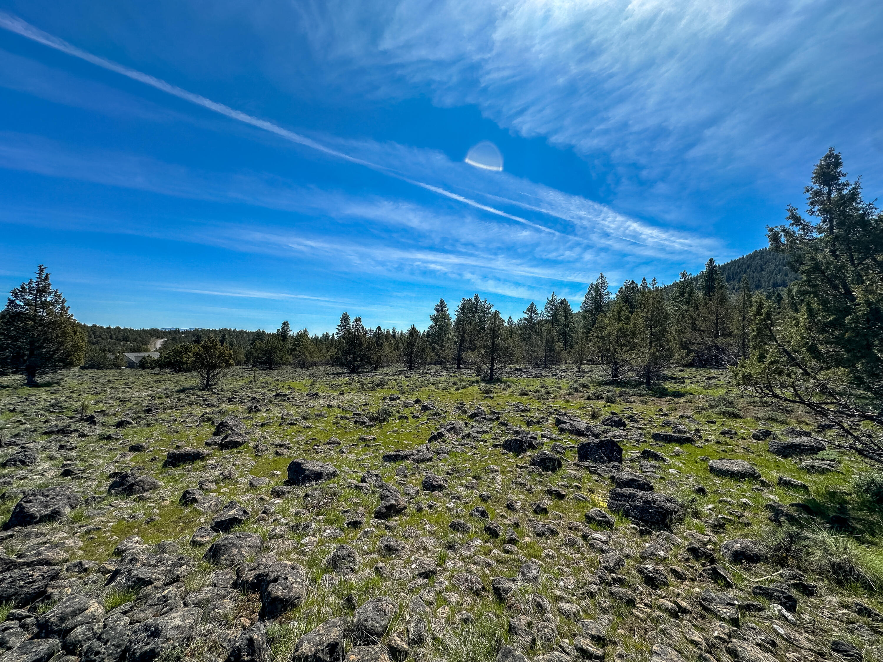 Cedar Trails - Land