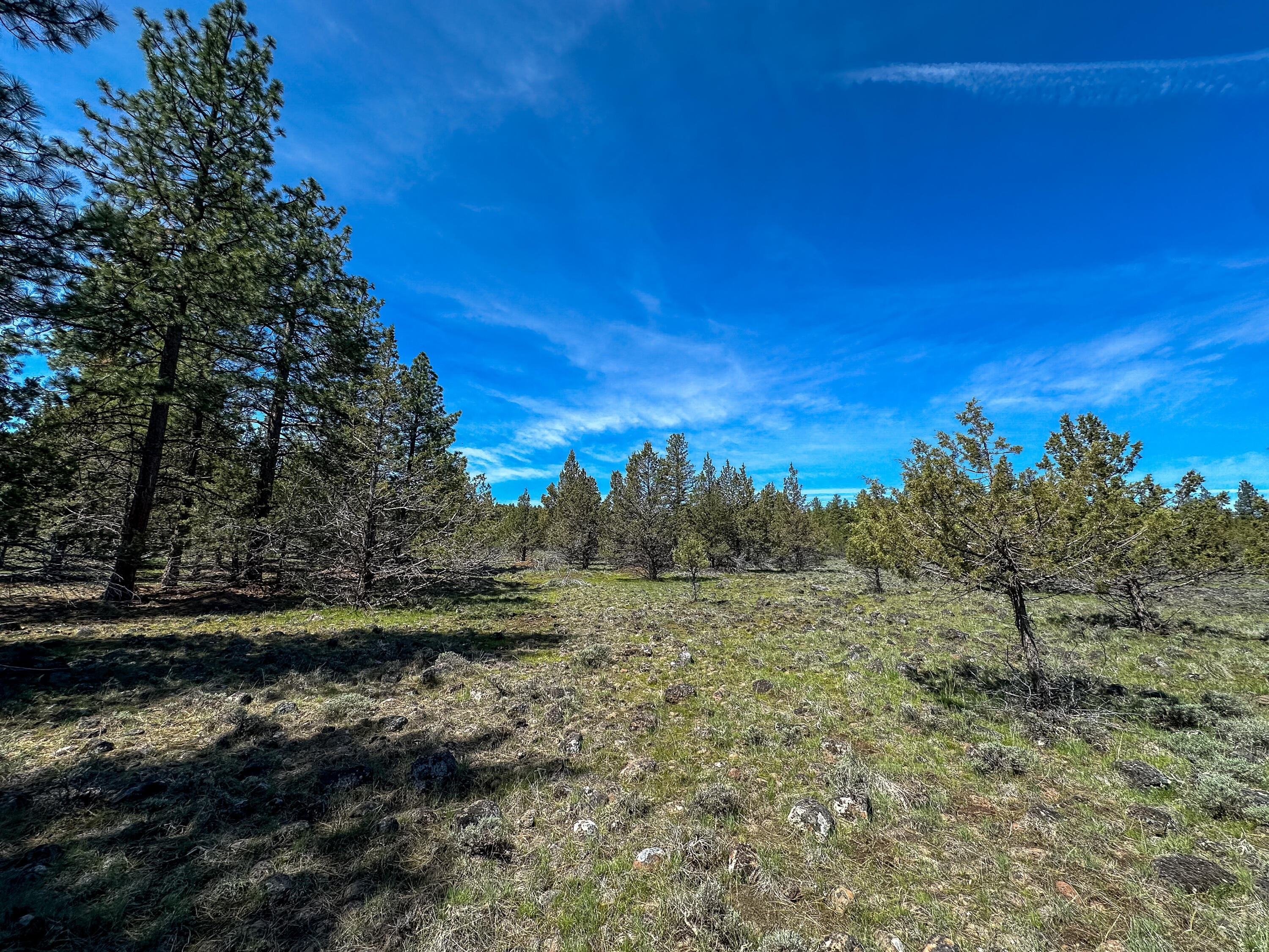 Cedar Trails - Land