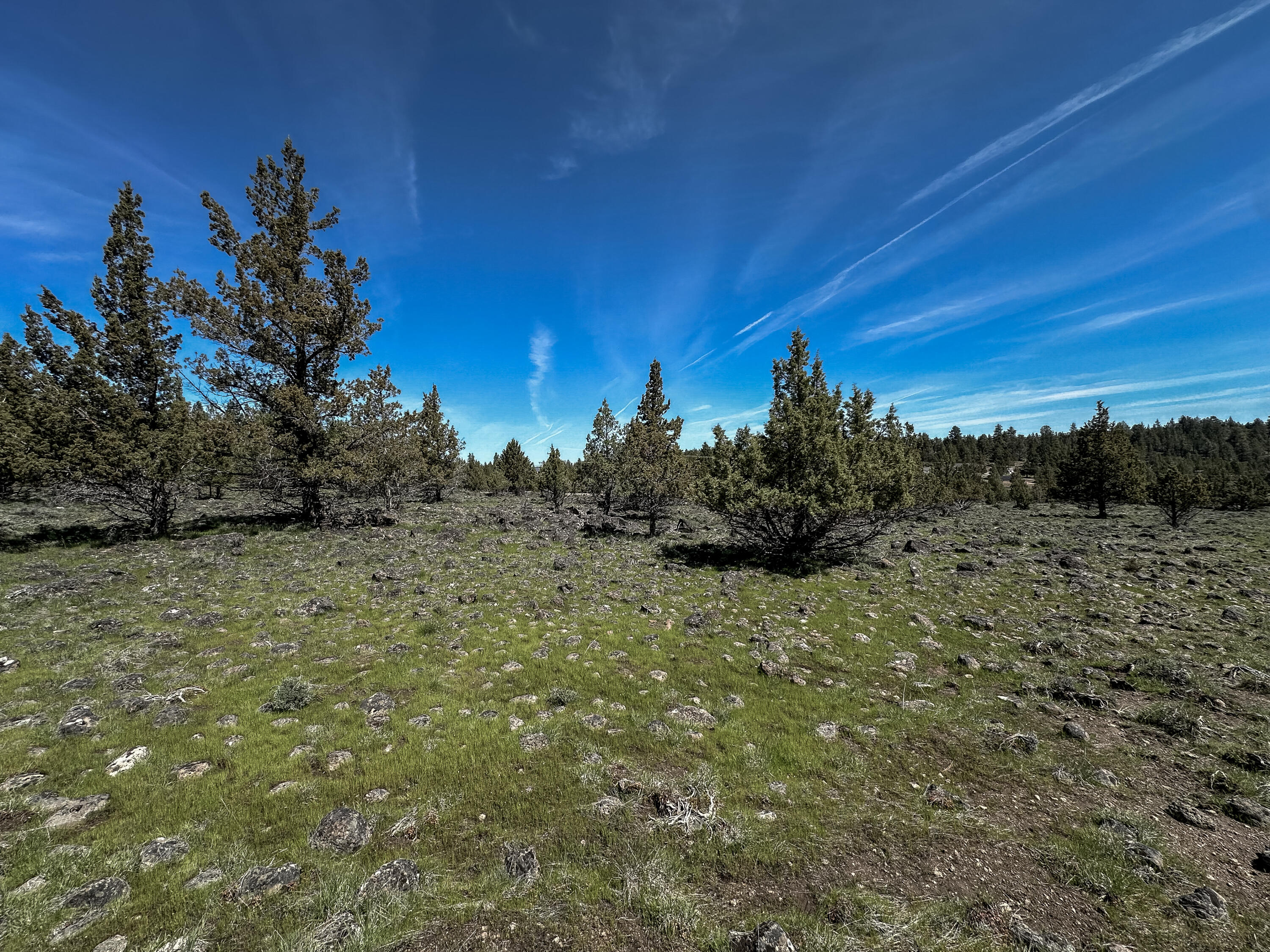 Cedar Trails - Land
