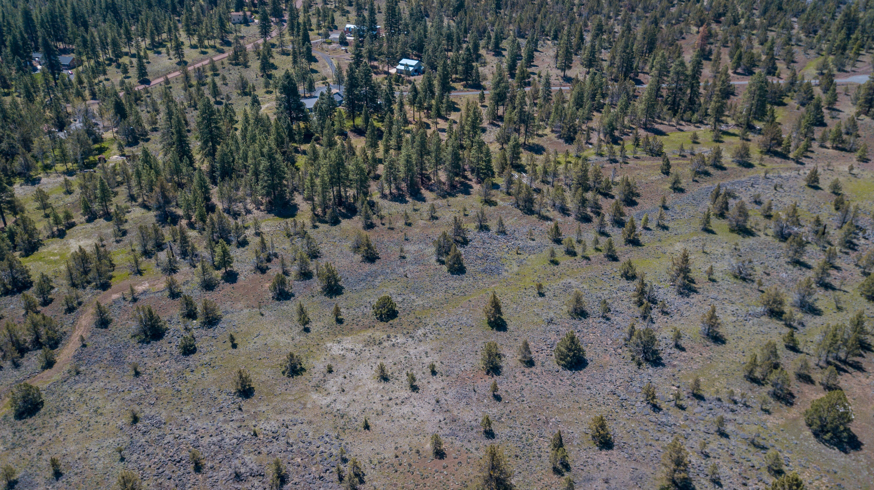 Cedar Trails - Land