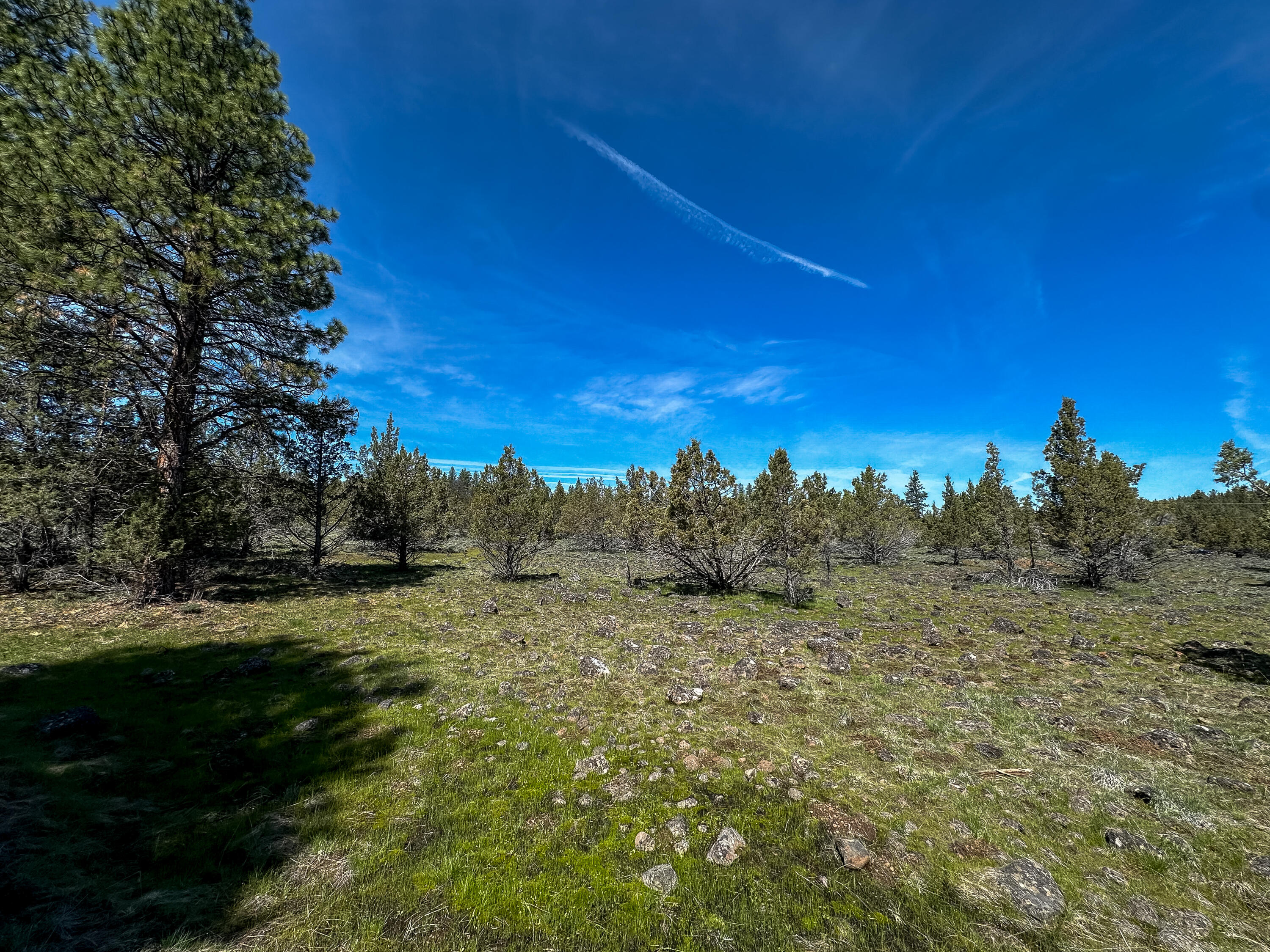 Cedar Trails - Land