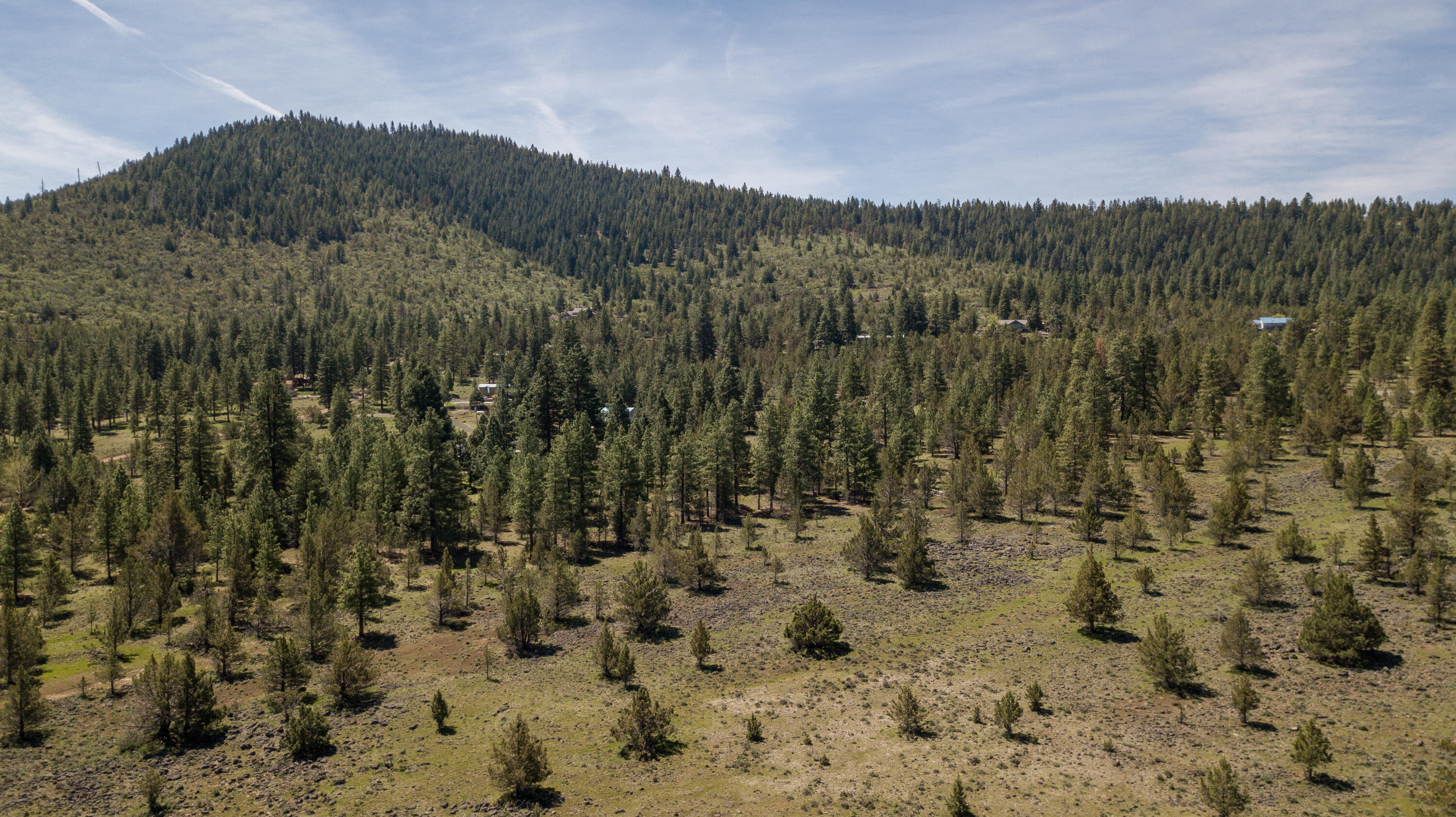 Cedar Trails - Land