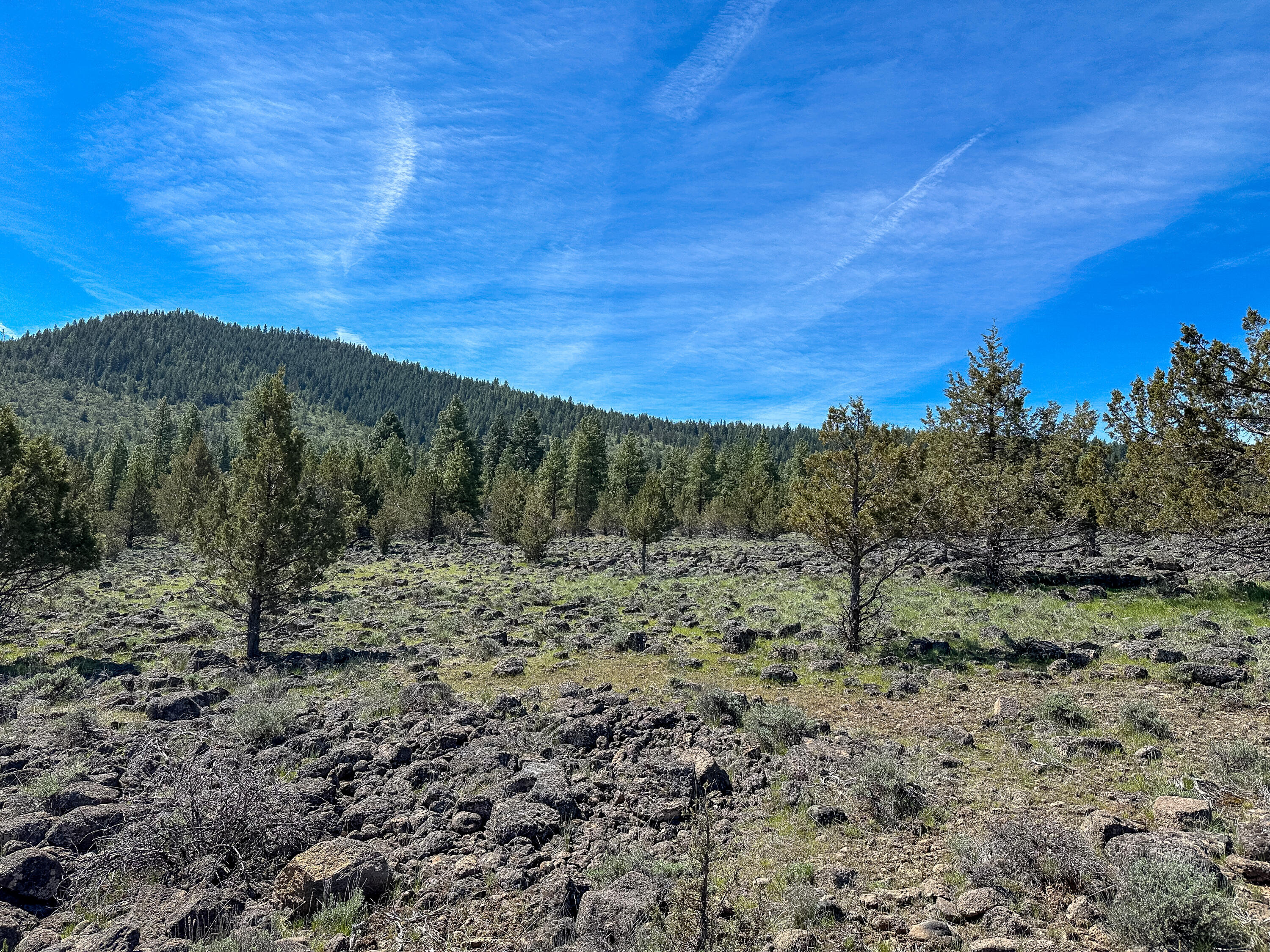 Cedar Trails - Land