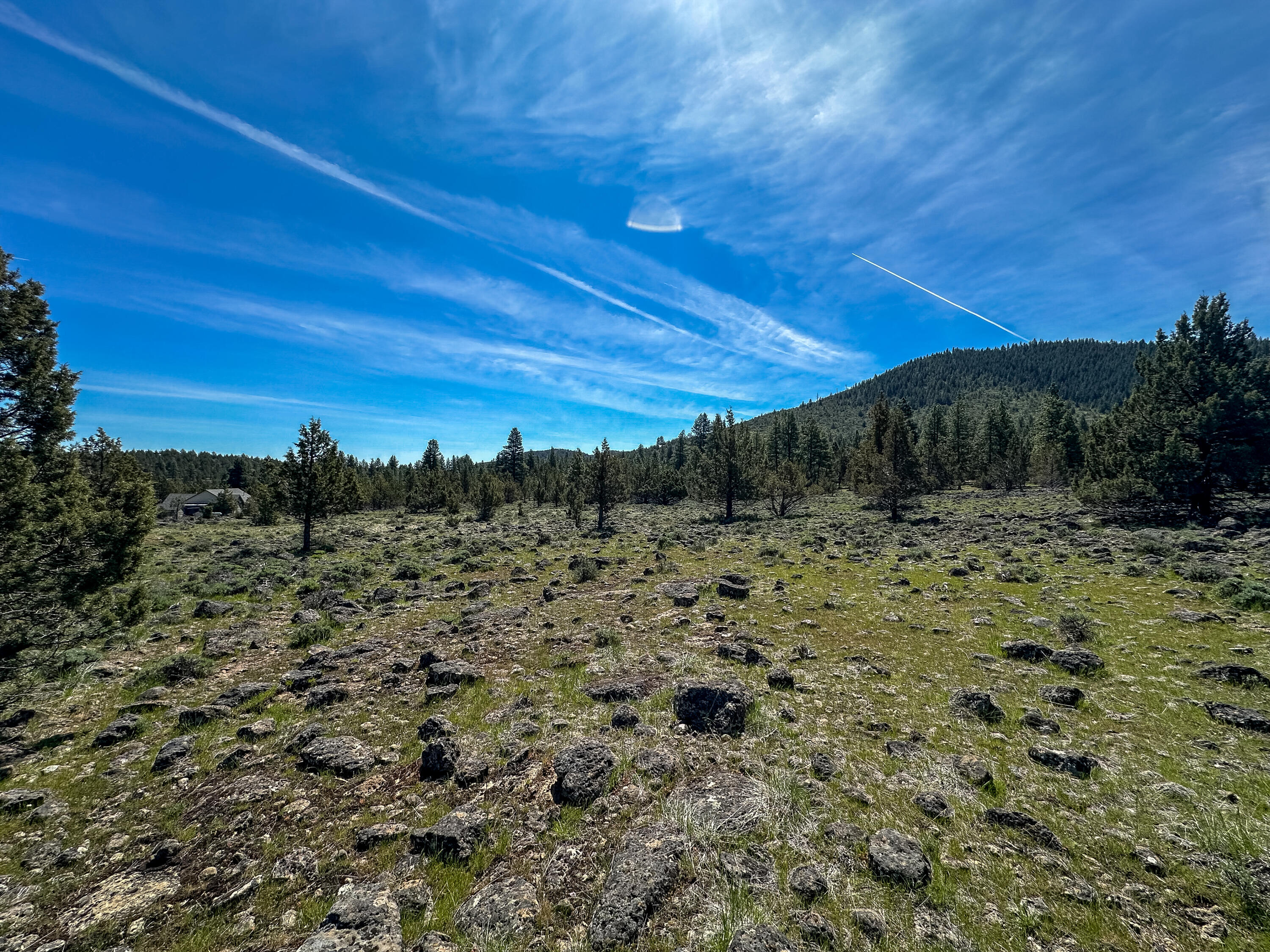 Cedar Trails - Land