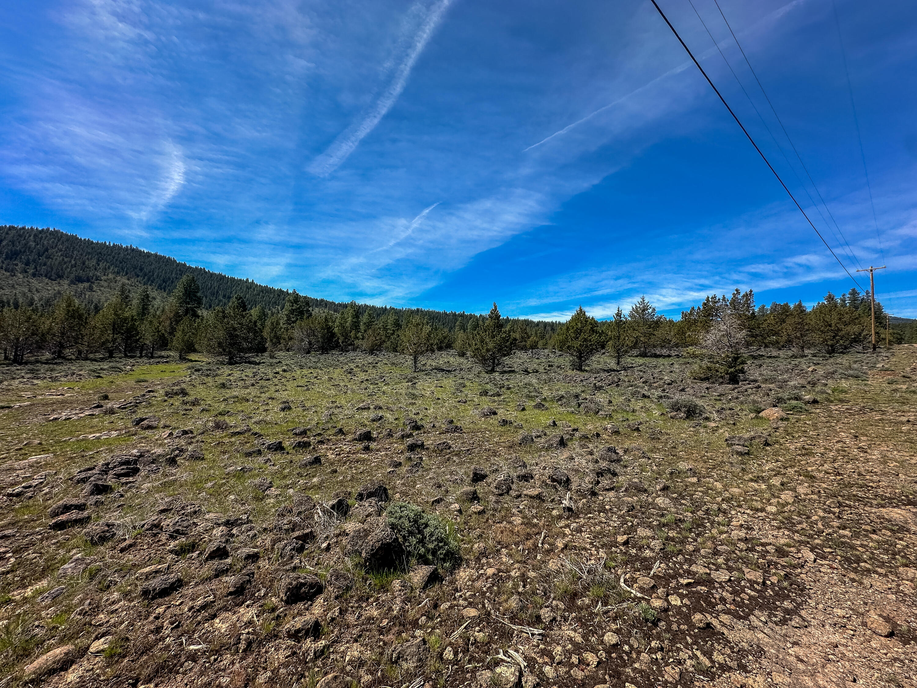 Cedar Trails - Land