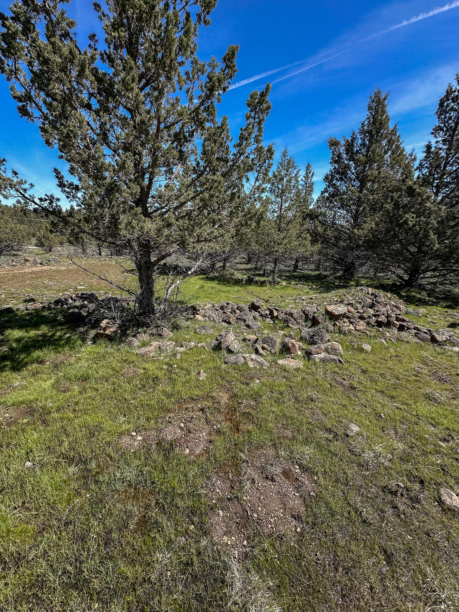 Cedar Trails - Land