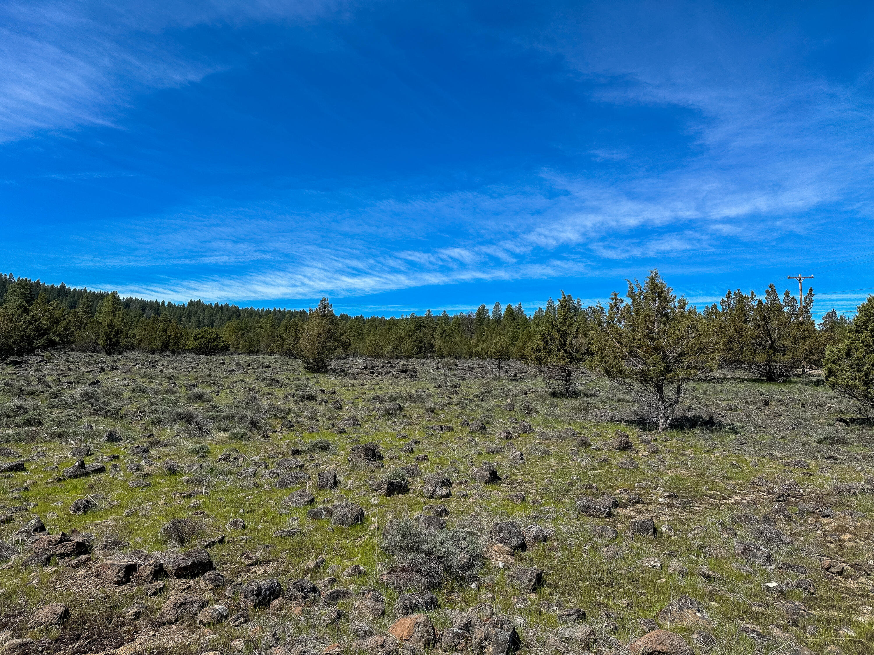 Cedar Trails - Land