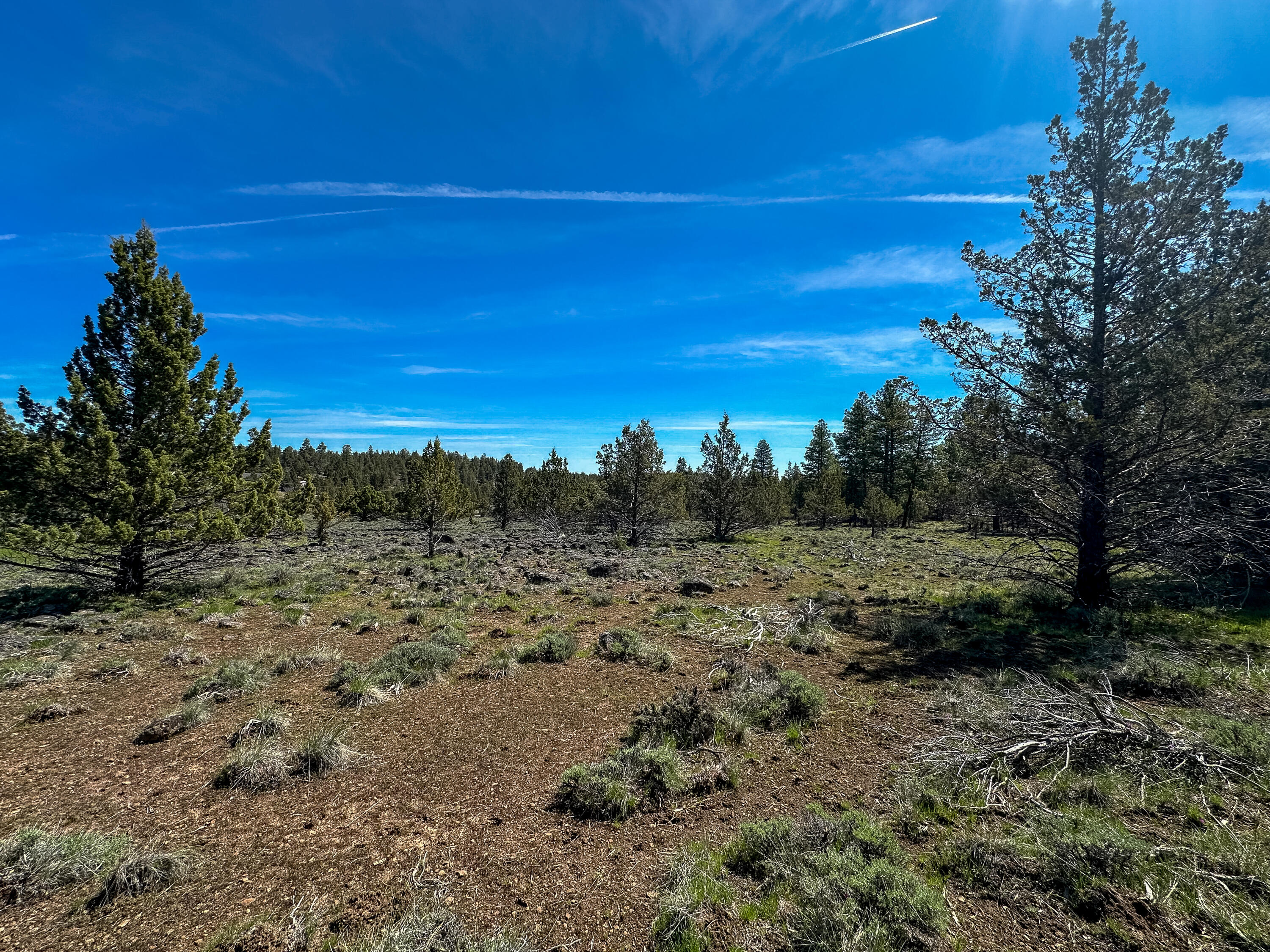 Cedar Trails - Land