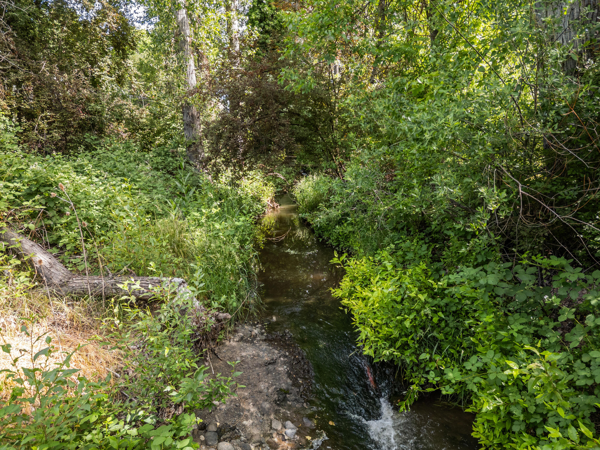 Edgemont Subdivision - Residential