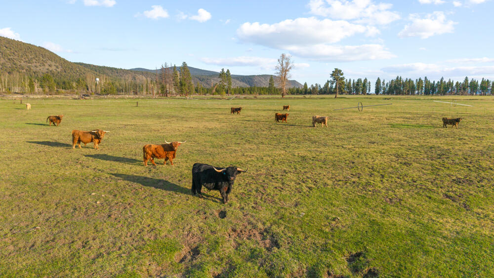 N/A - Farm
