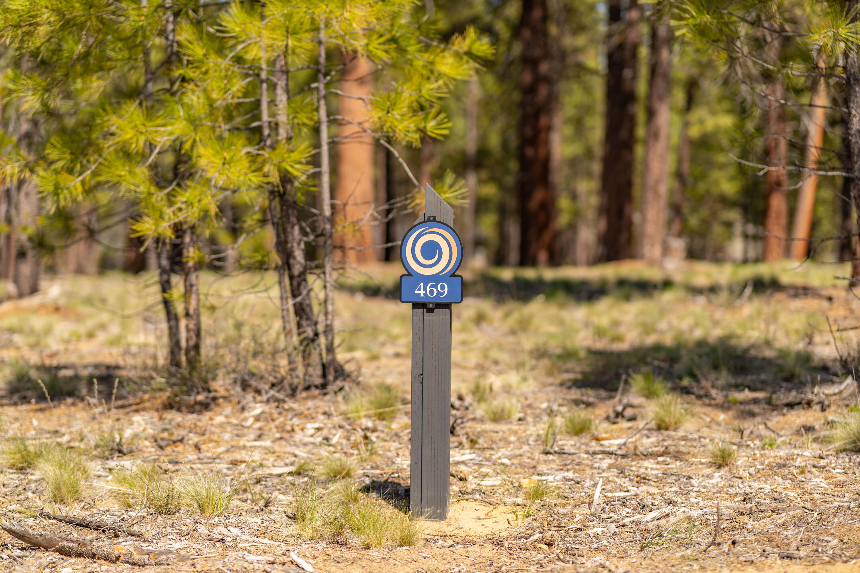Discover the unforgettable in Caldera Springs! Homesite 469 offers an idyllic blend of natural beauty amidst pine-filled landscapes. This spacious .56 acre lot, ideally located near the future Preservation Park, backs to common area and provides a serene setting for your dream home. 
Your opportunity awaits to experience the Caldera Springs lifestyle - owners enjoy special access to golf, fitness, pickle ball, tennis, pools, kayaks & paddle boards, lakes, water features & streams, parks, trails. Caldera Springs is located near Sunriver, just 15 minutes to Bend and 30 minutes to skiing at Mt. Bachelor.